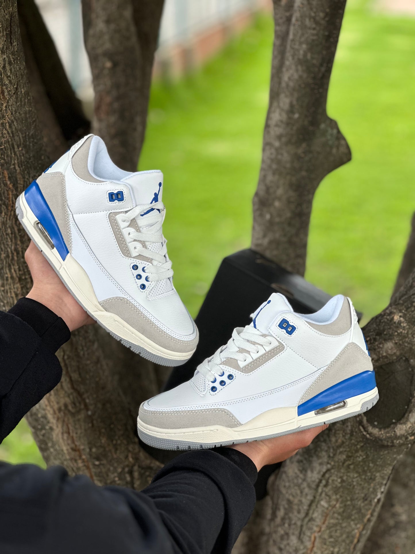 Air Jordan 3 Lucky Shorts