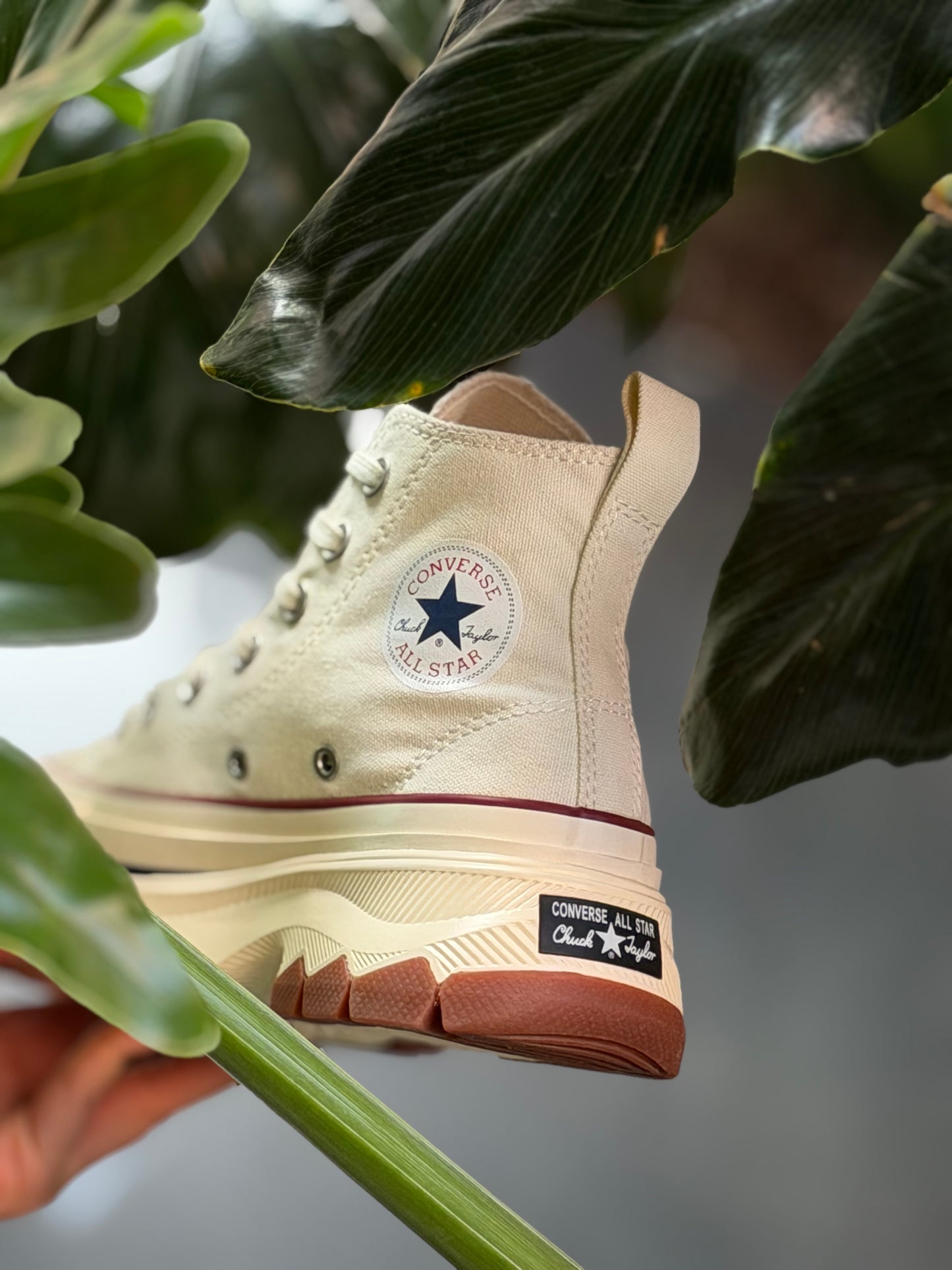 Converse Chuky Taylor React