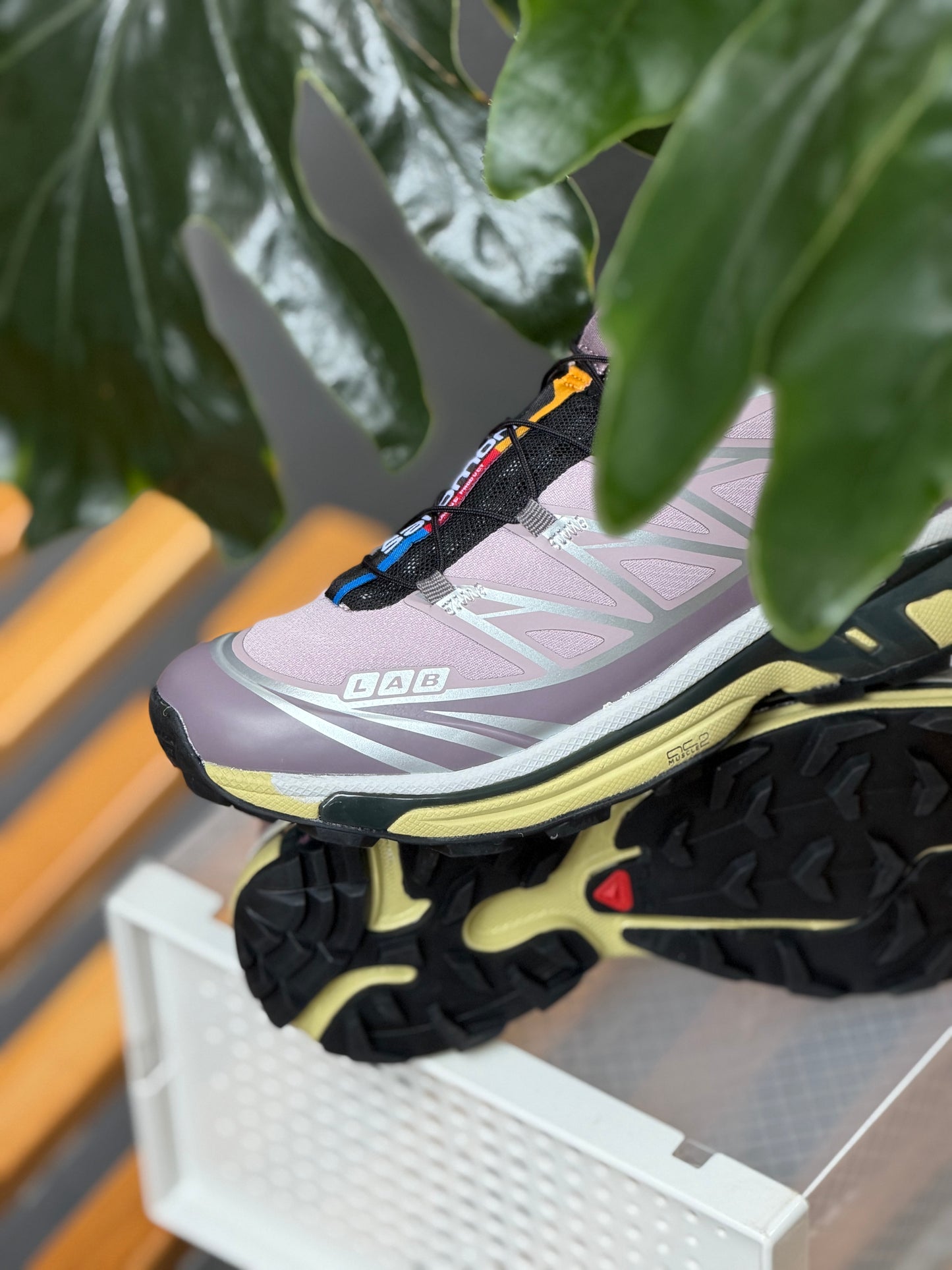 Salomón XT-6
