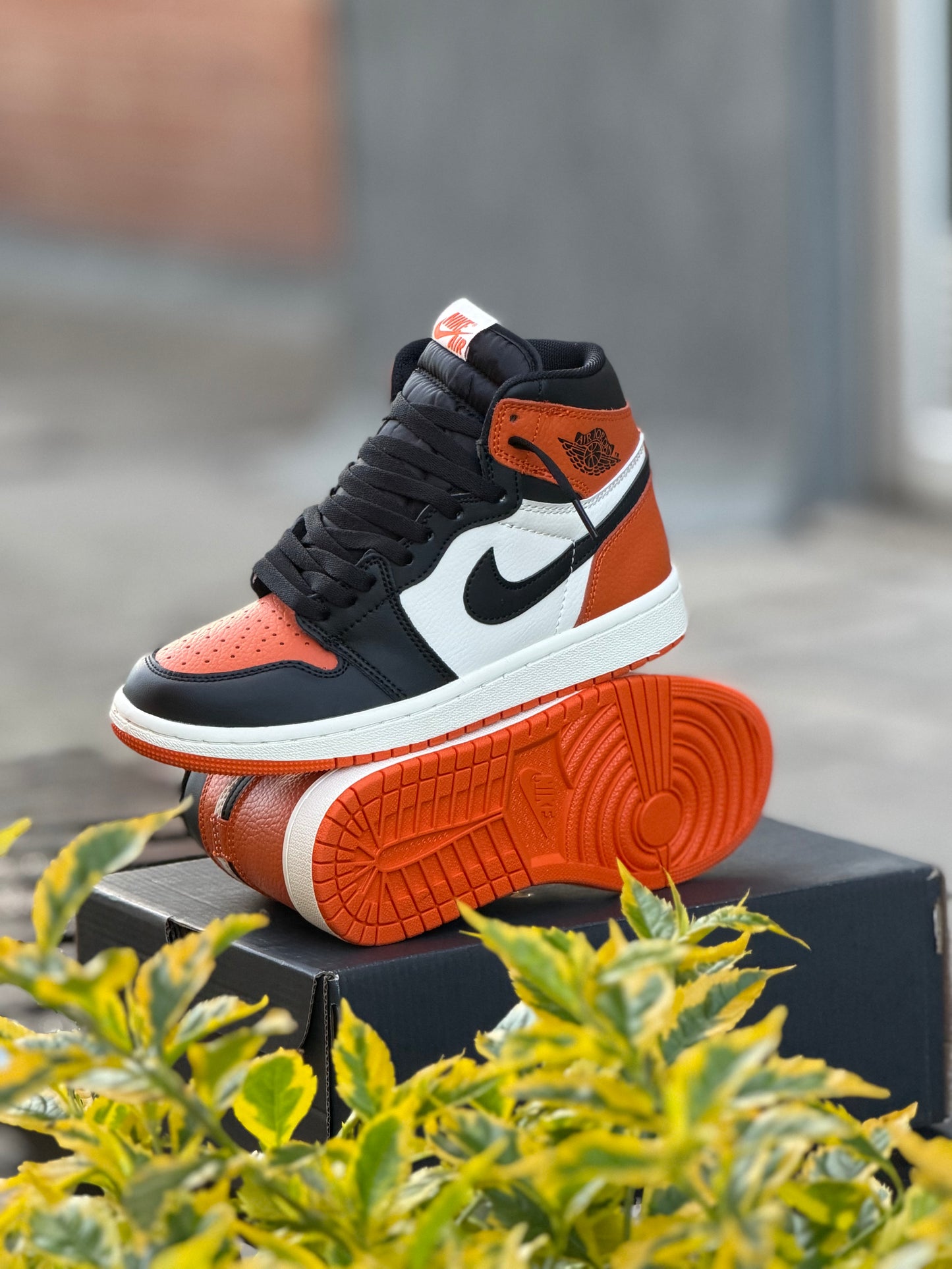 Air Jordan 1 High OG