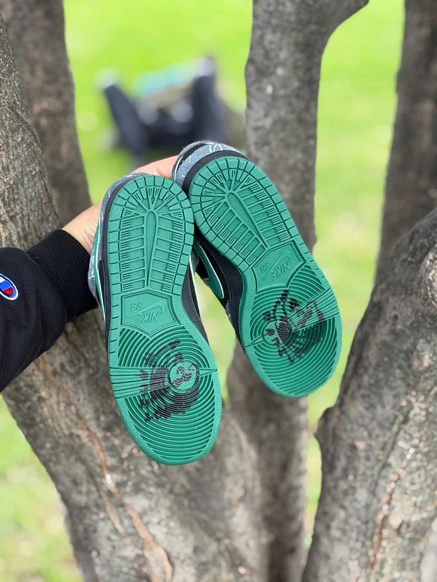 Nike Sb Dunk Low There Skateboards Green