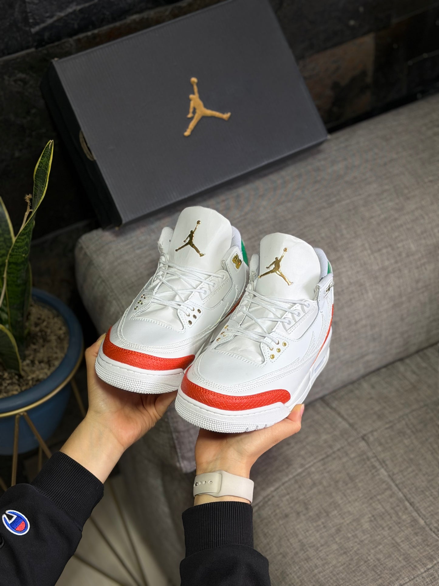 Air Jordan 3 Summit White And Pine Green