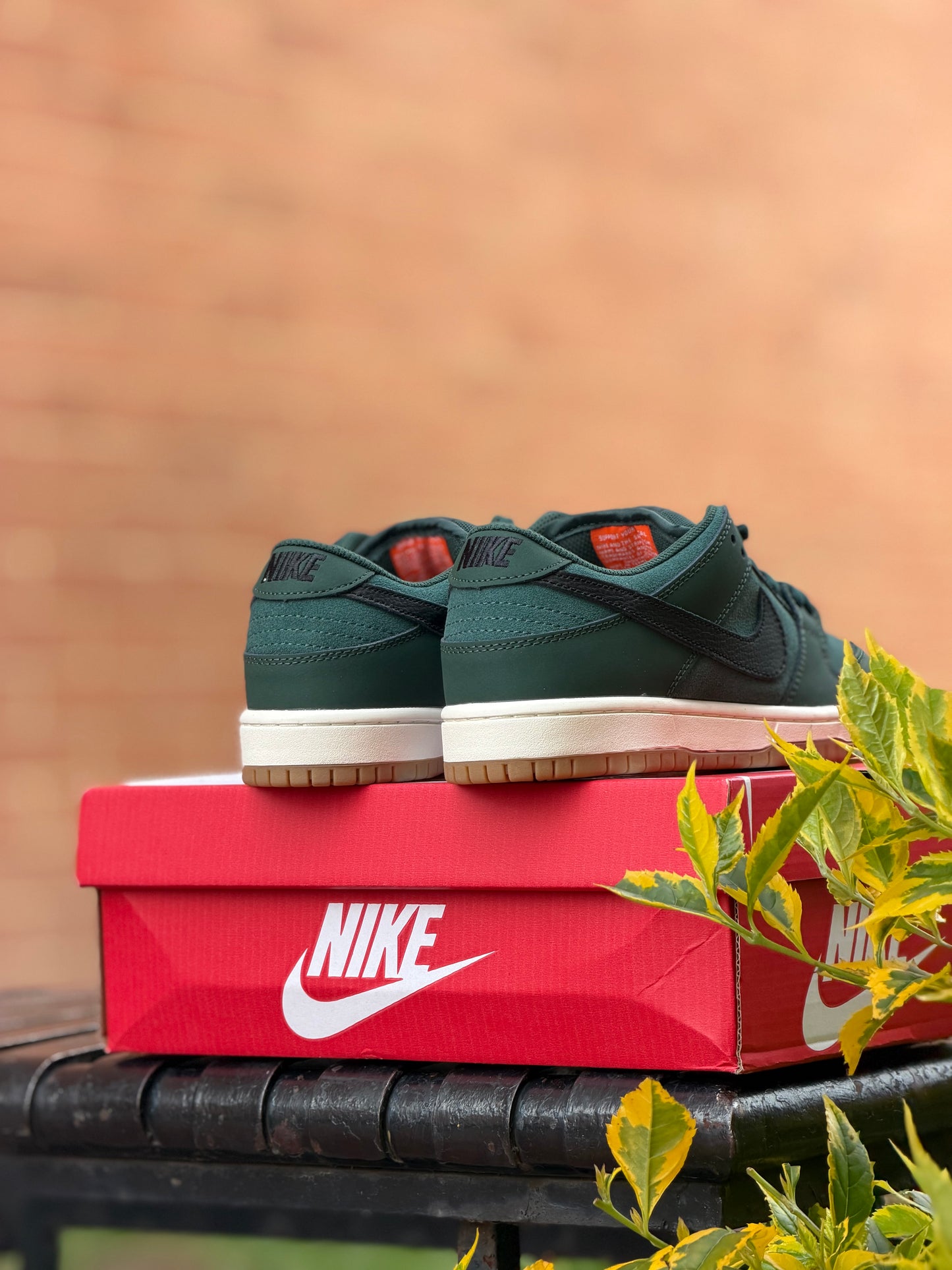 Nike Sb Dunk Low Pro Iso