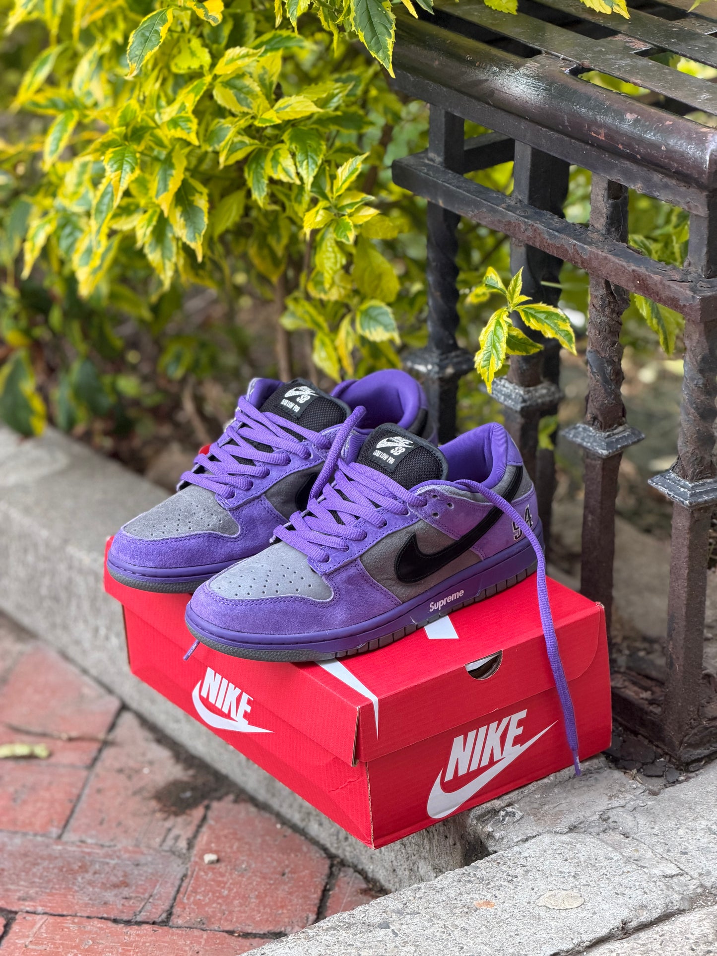 Nike Dunk Low Supreme