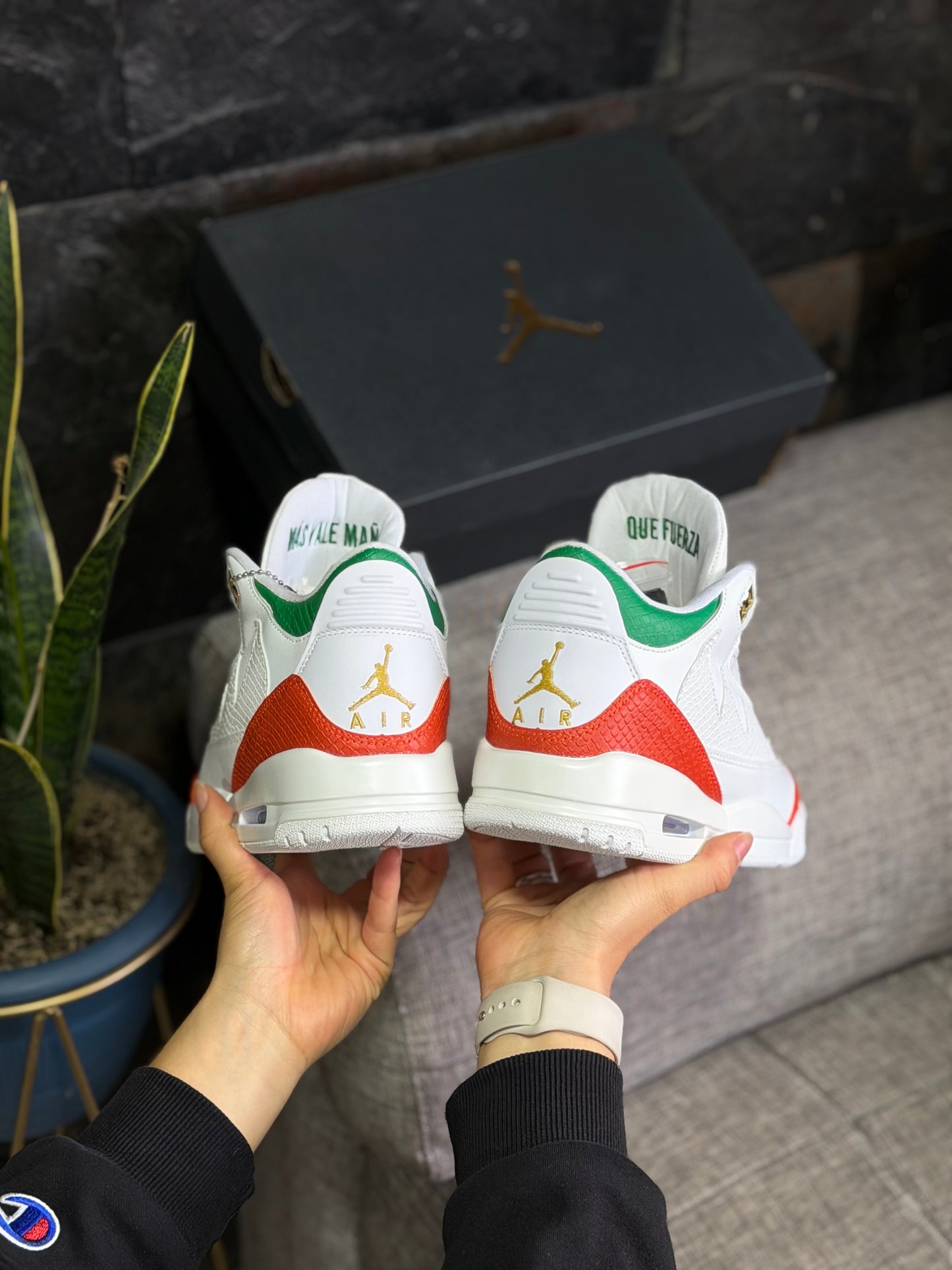 Air Jordan 3 Summit White And Pine Green