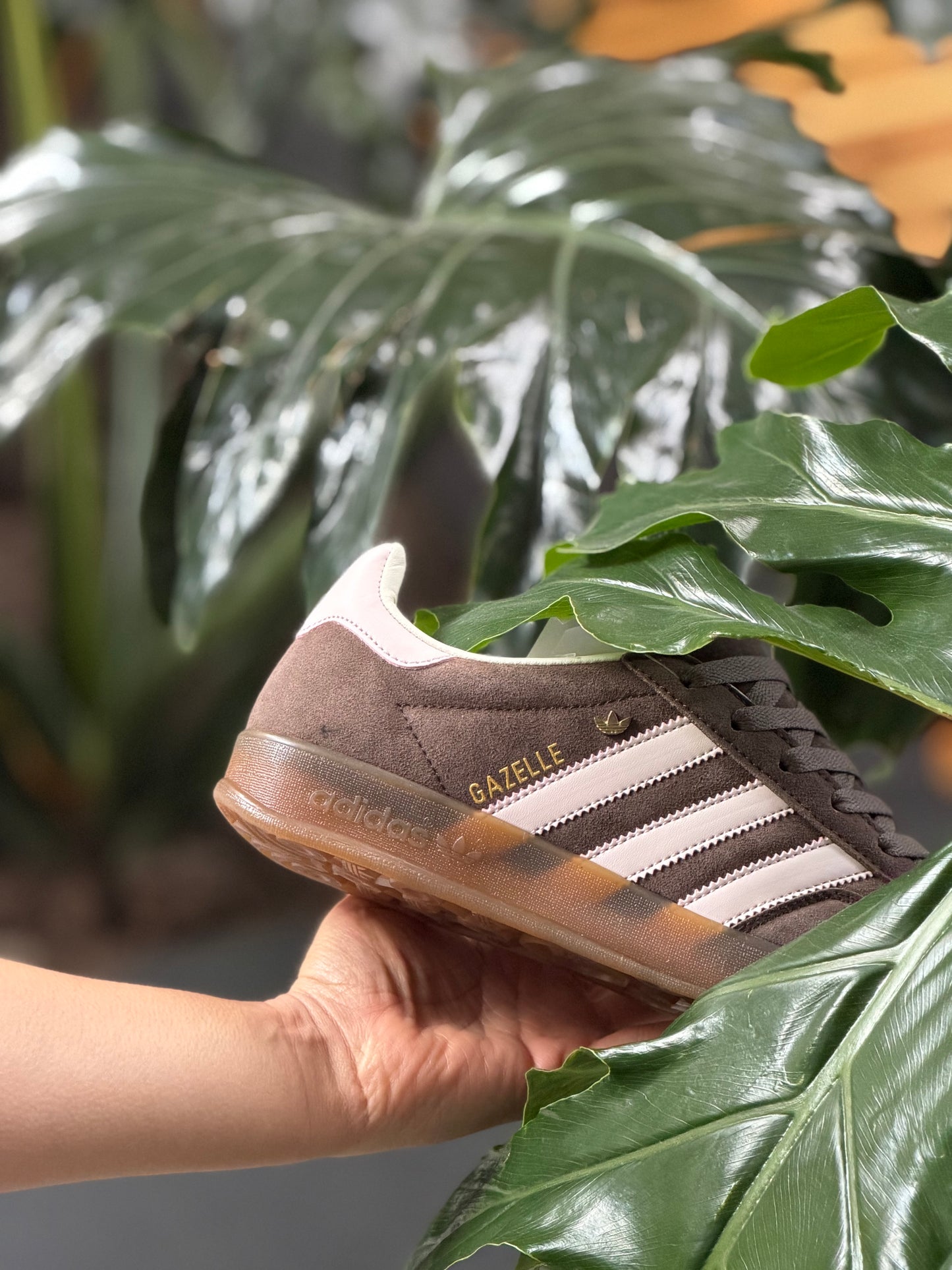 Adidas Gazelle Indoor Marrón