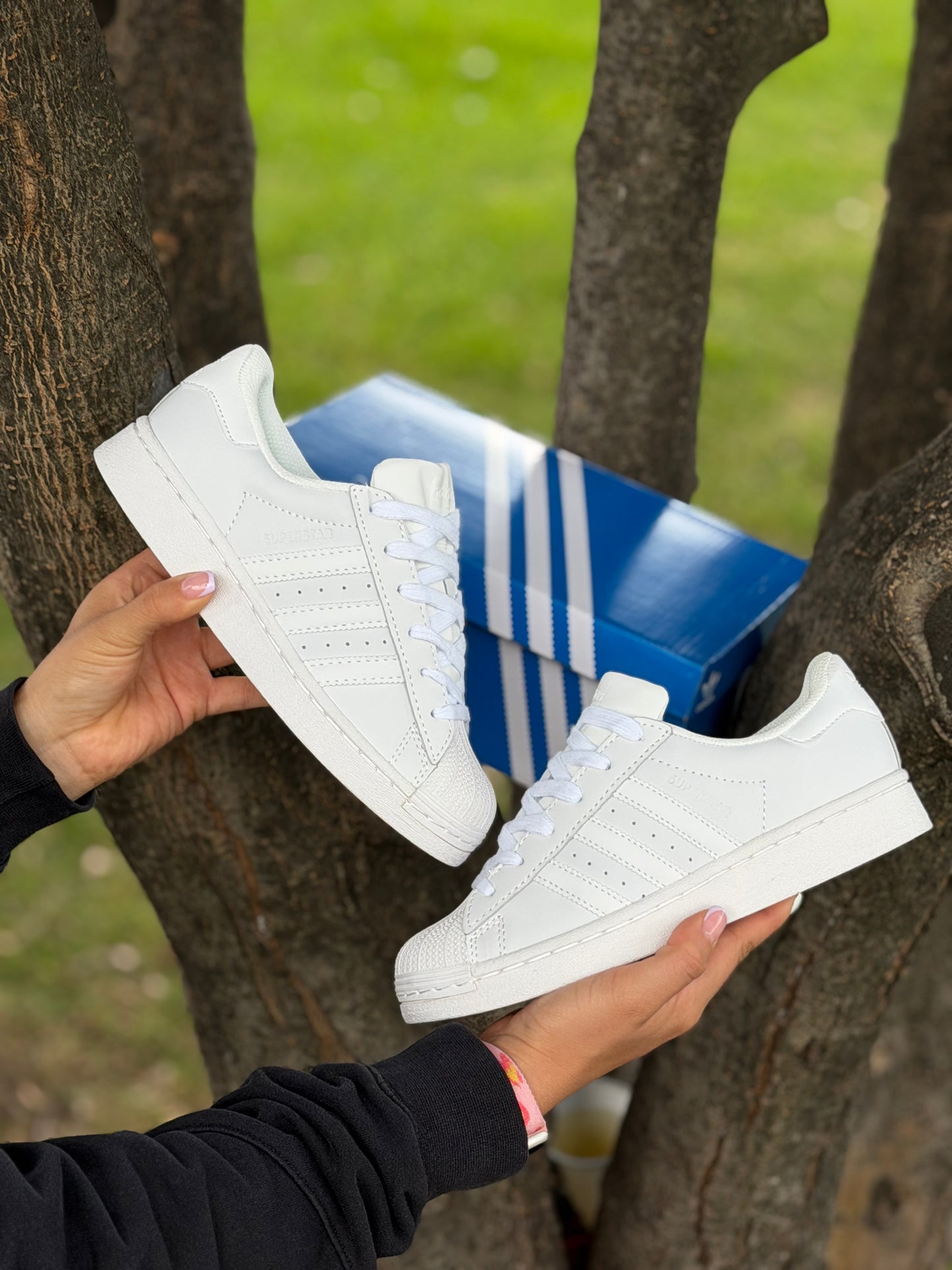 Adidas Súper Star White