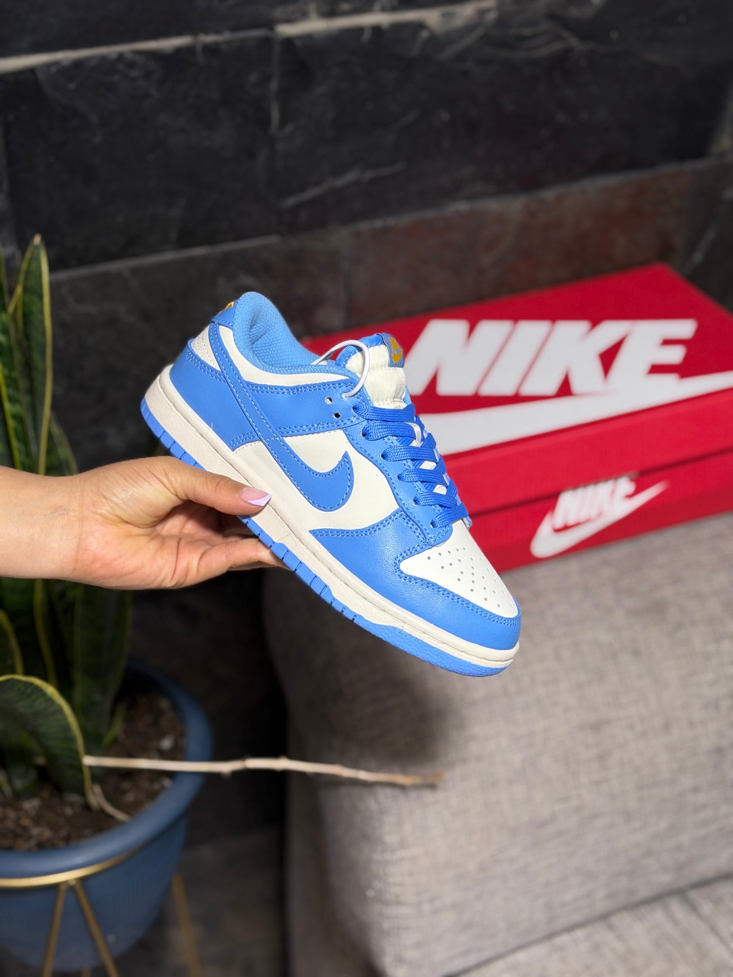 Nike Dunk Low Retro