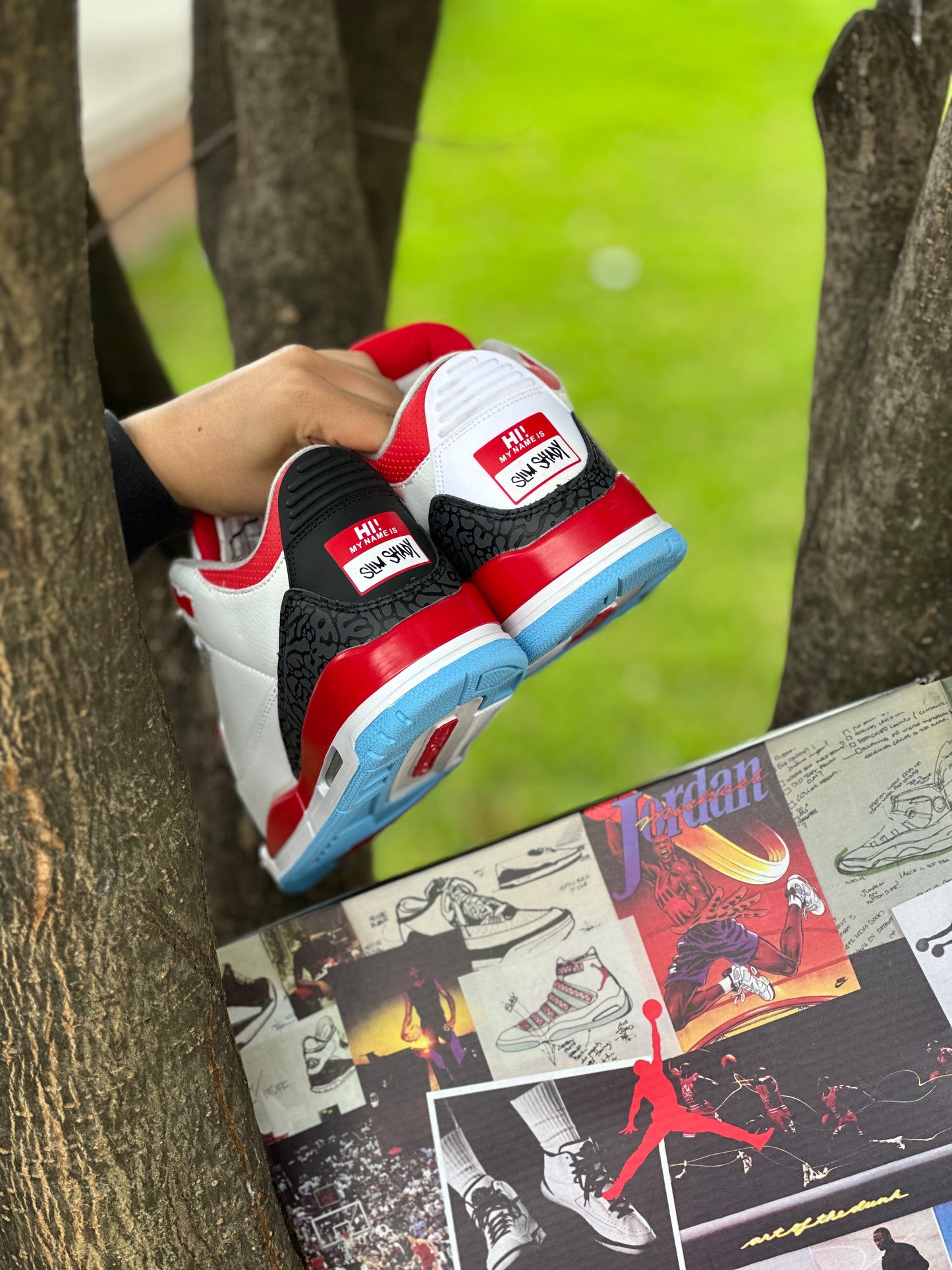 Nike Air Jordan Retro 3 Eminem