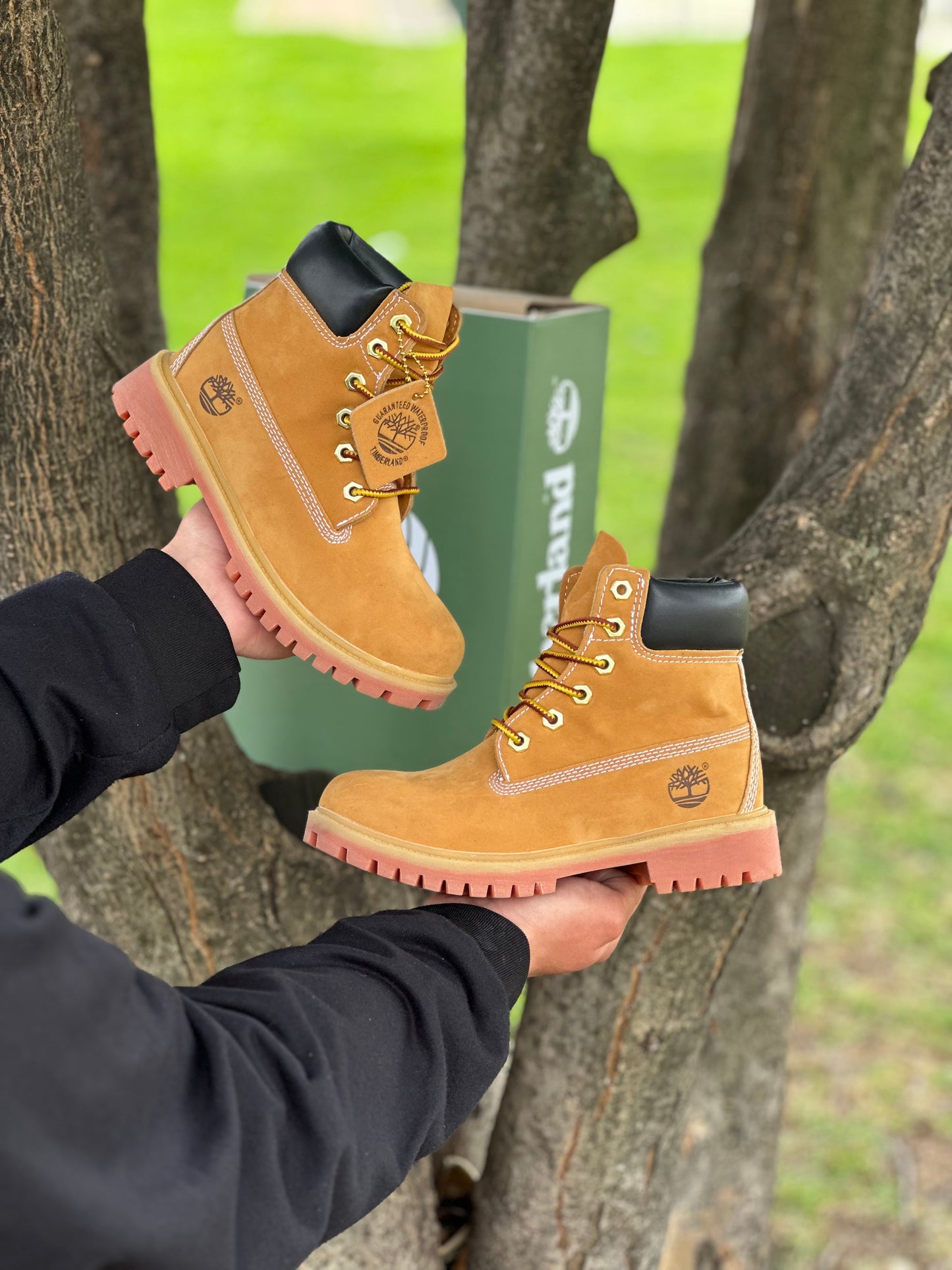 Timberland