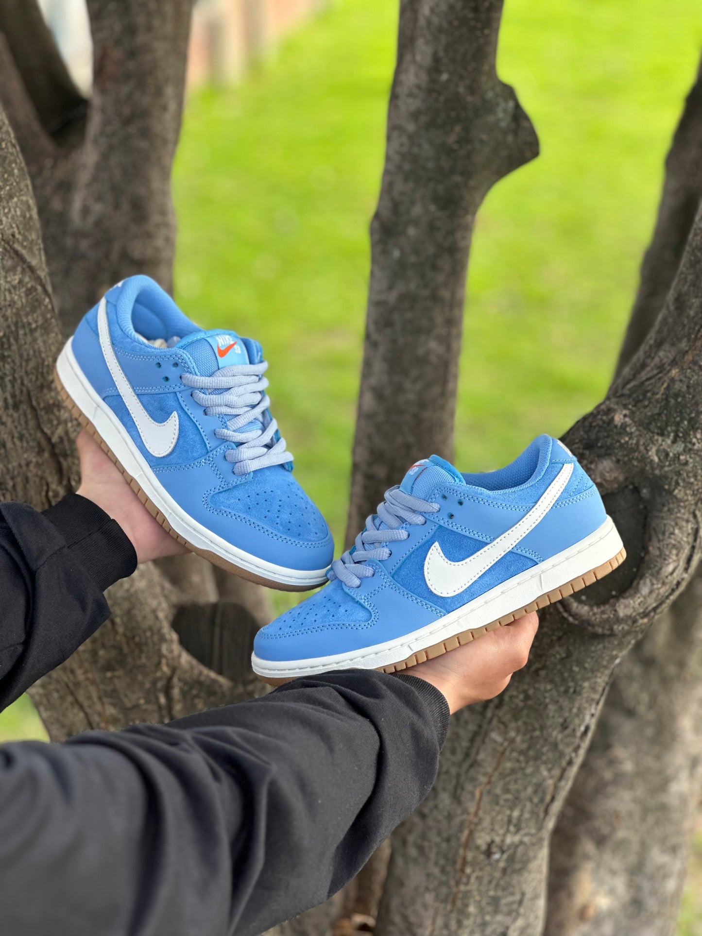 Nike Dunk Low Pro University Blue