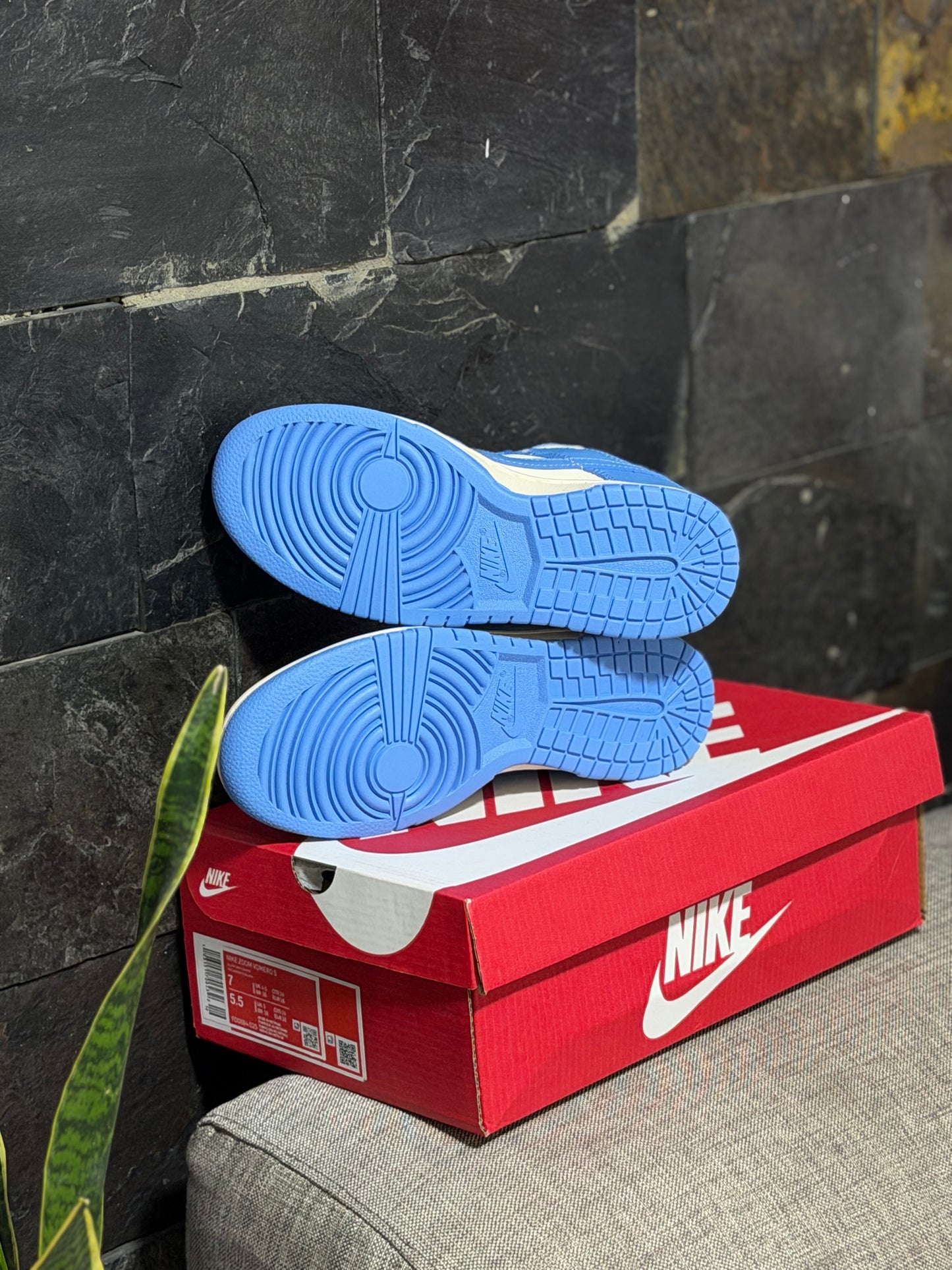 Nike Dunk Low Retro