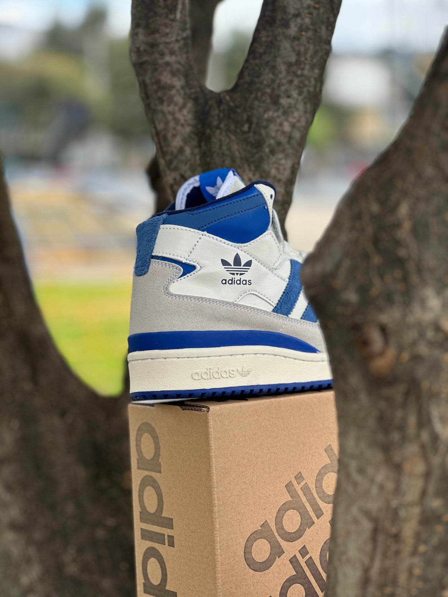 Adidas Fórum 84 High