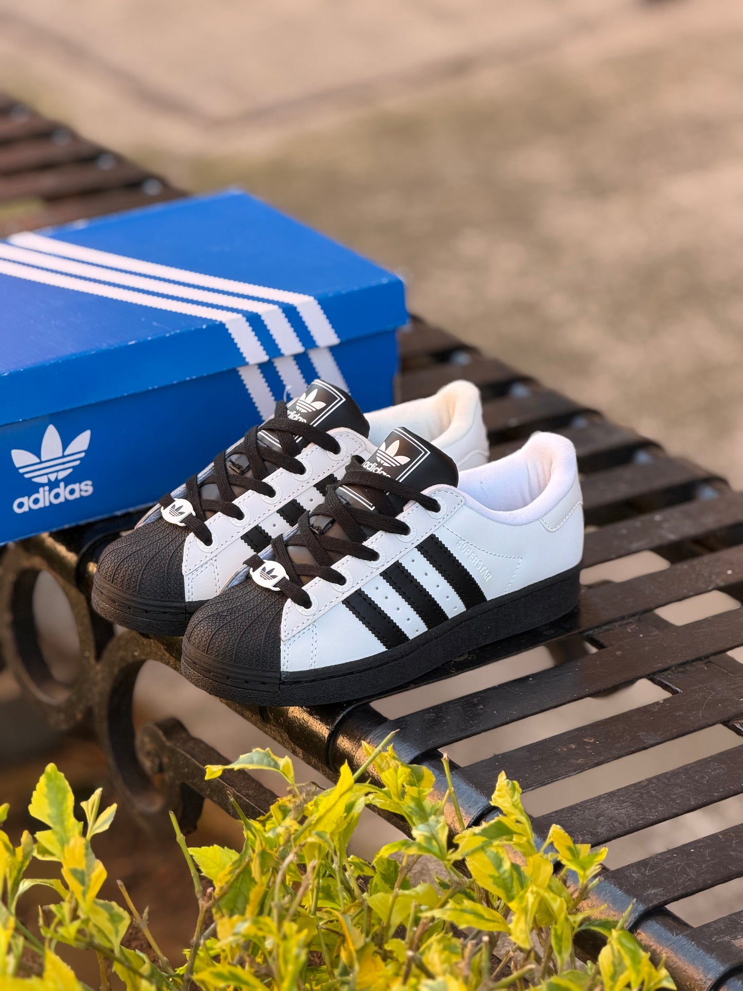 Adidas Súperstar ll White/Black