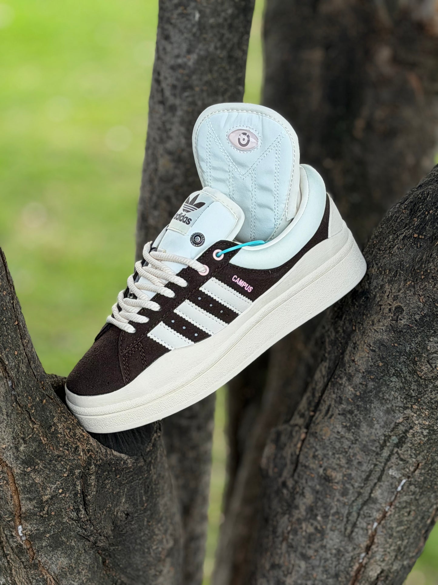 Adidas Campus X Bad Bunny