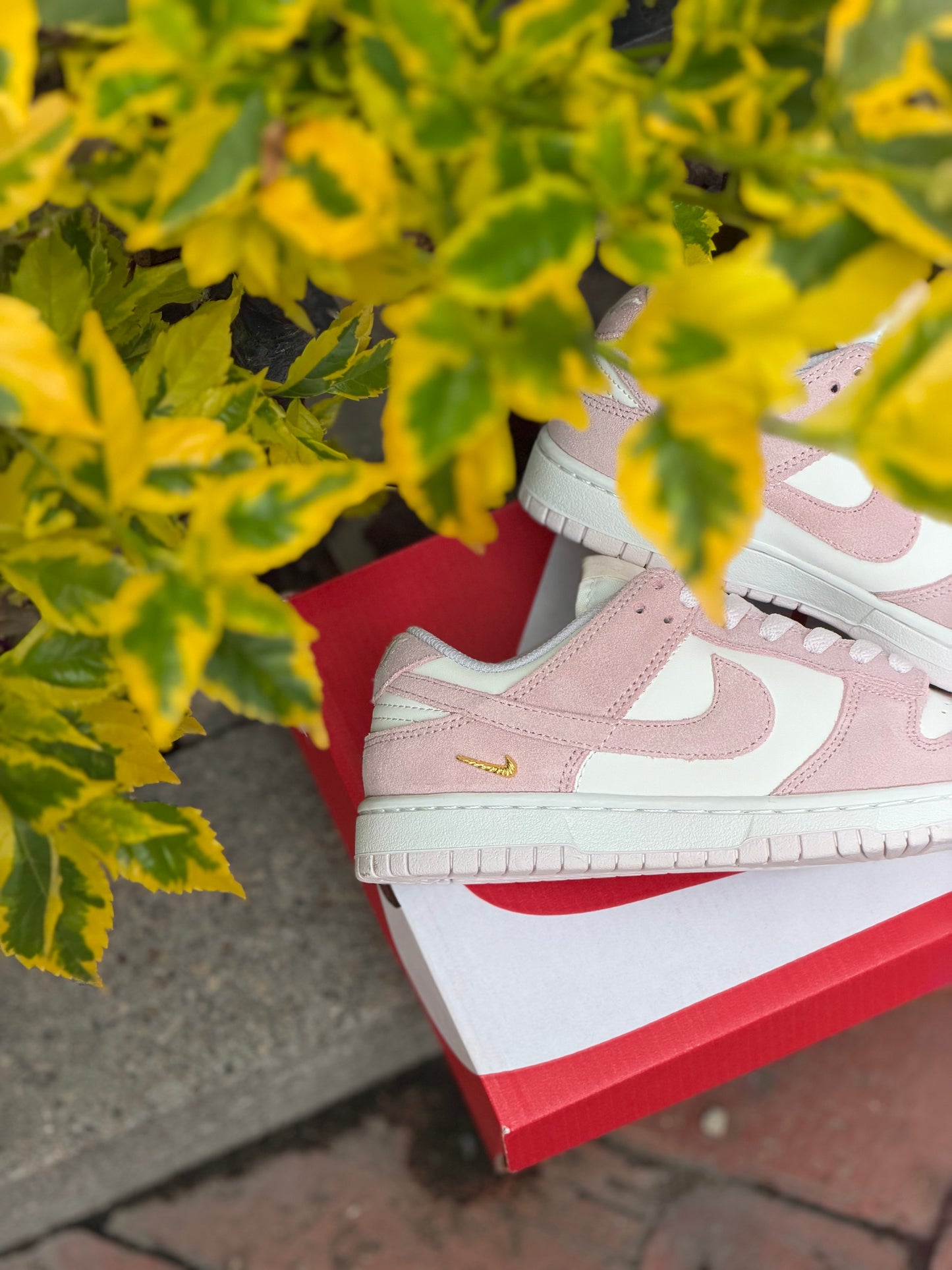 Nike Dunk Low Pearl Pink