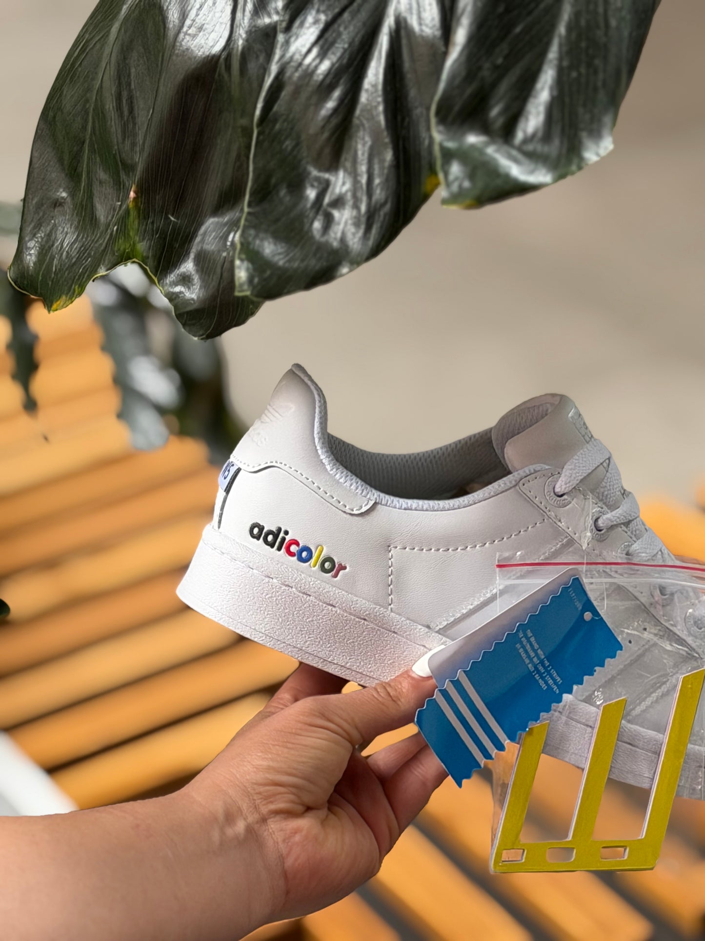 Adidas Super Star “Adicolor”