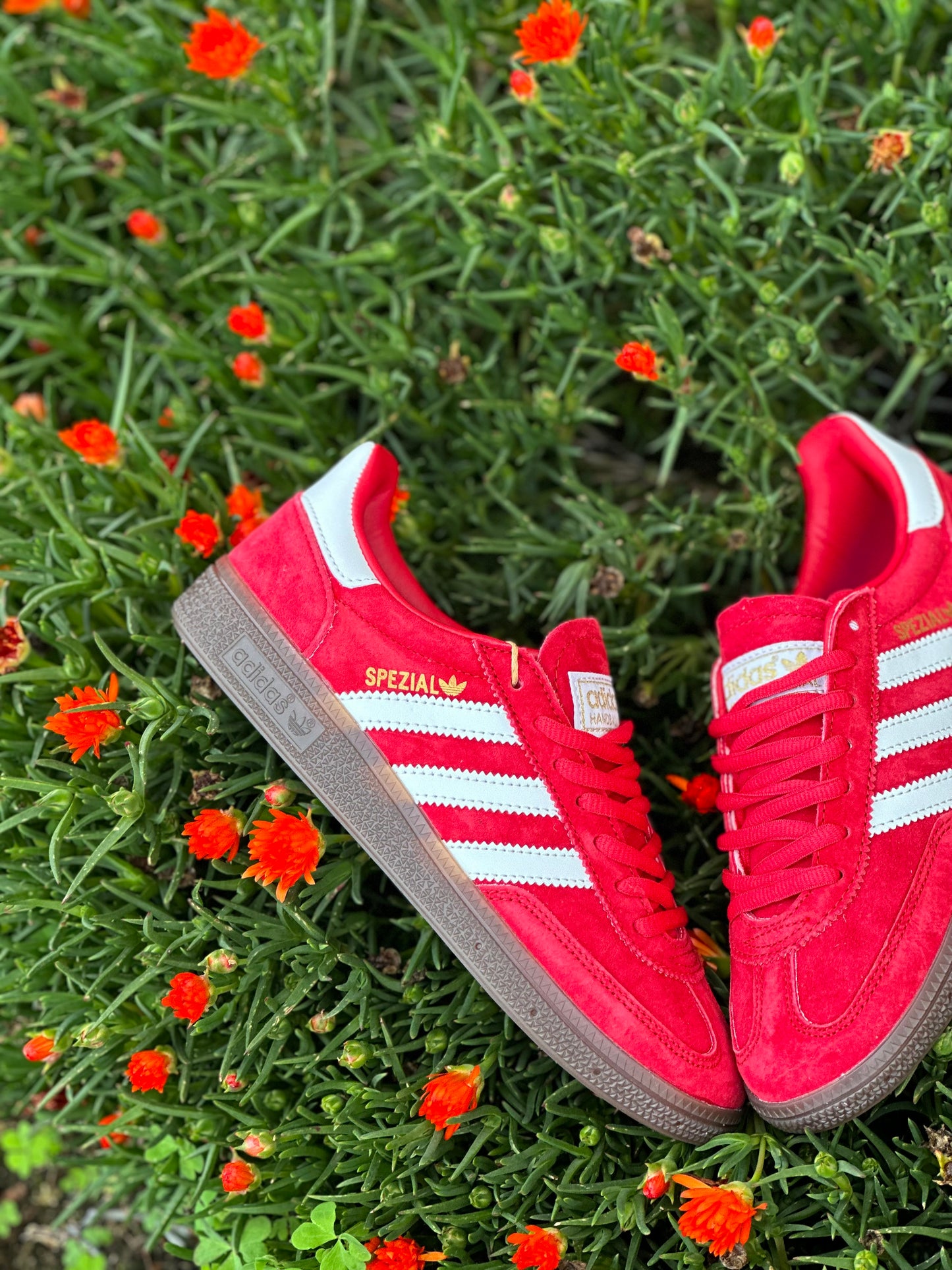 Adidas Handball Spezial Red