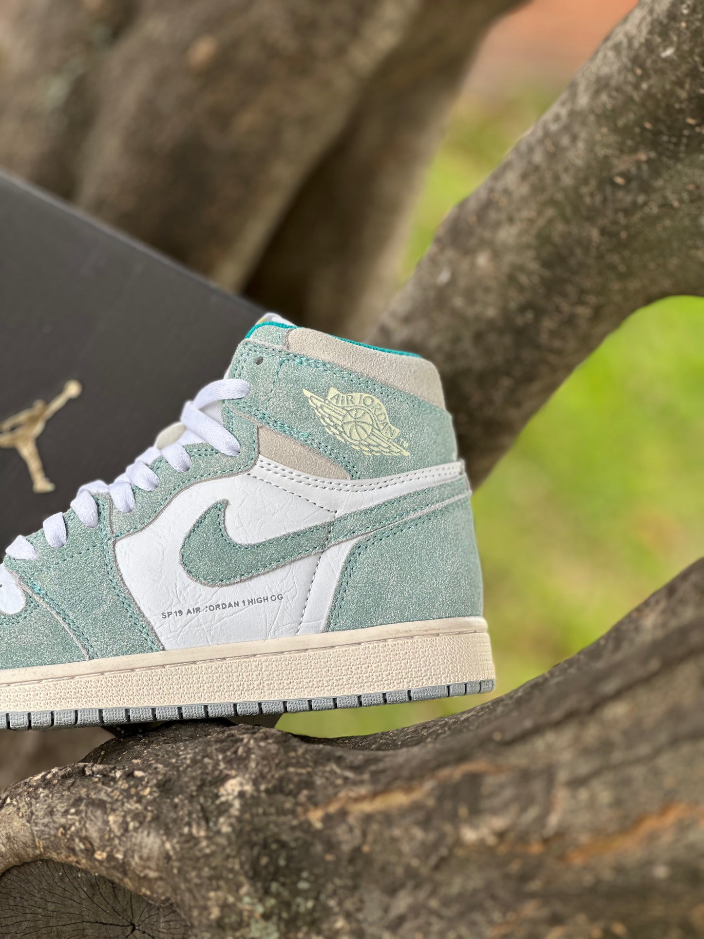 Air Jordan Retro 1 High Turbo Green