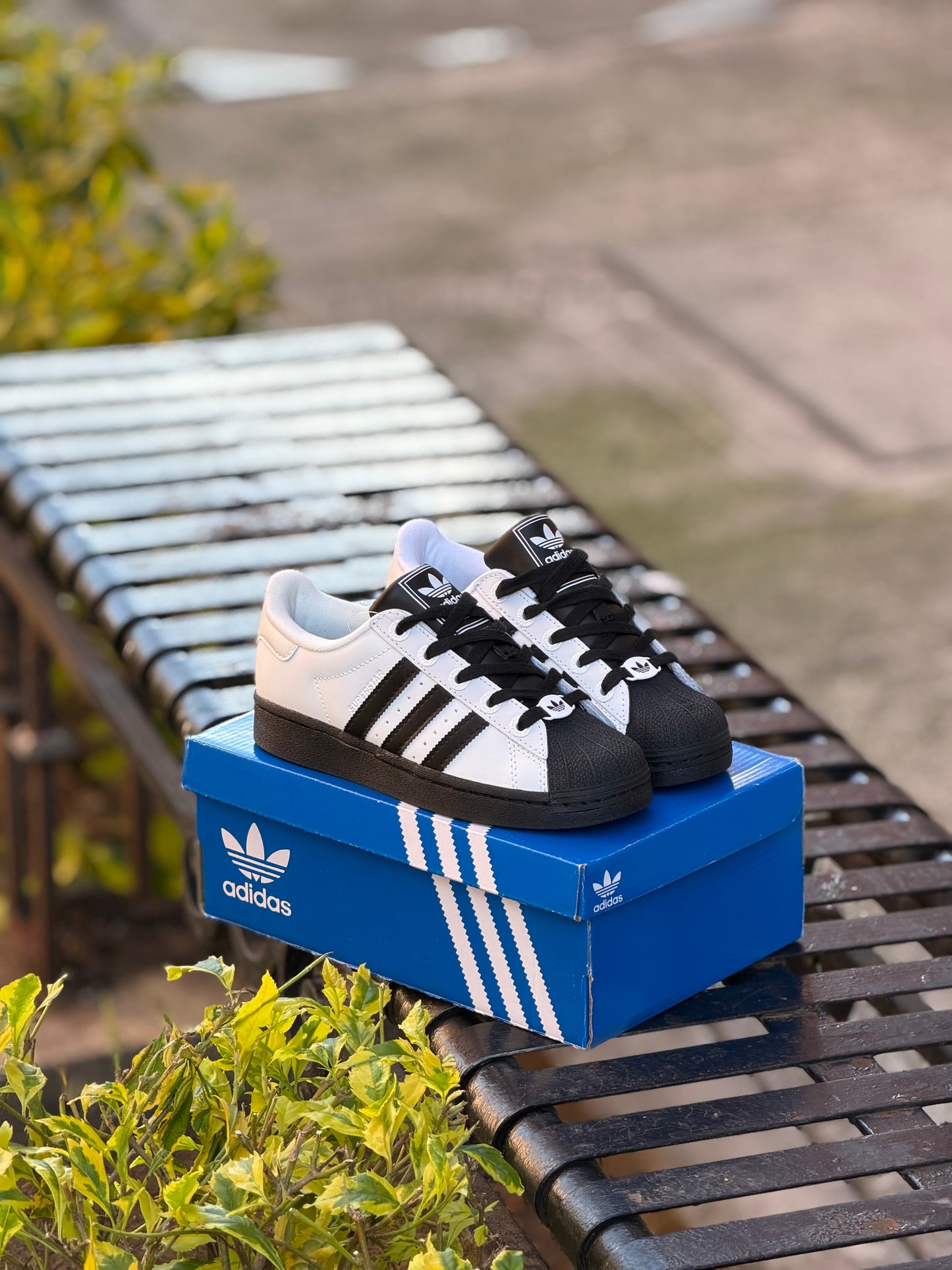 Adidas Súperstar ll White/Black