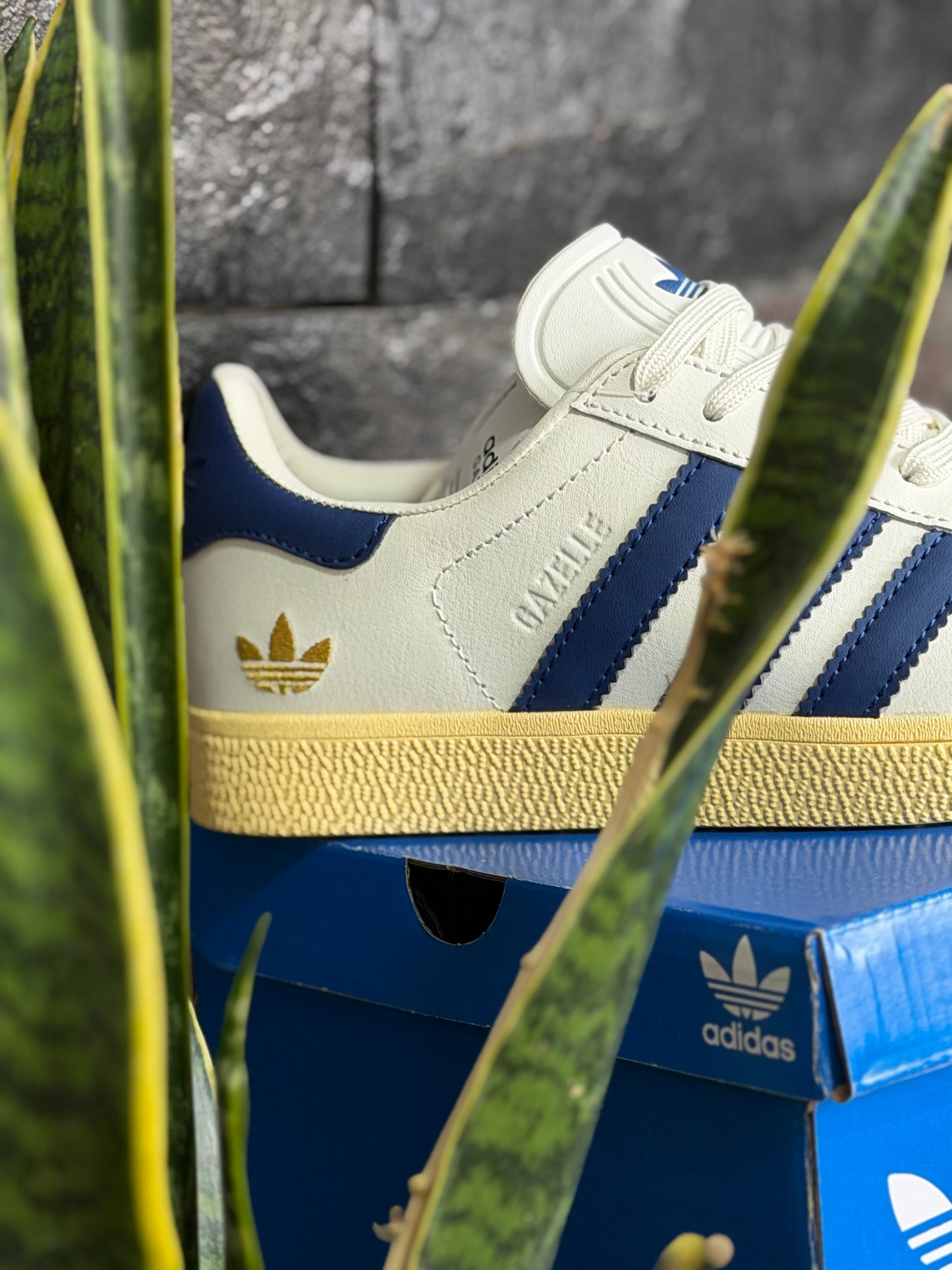 Adidas Gazelle Uk8 Tariners