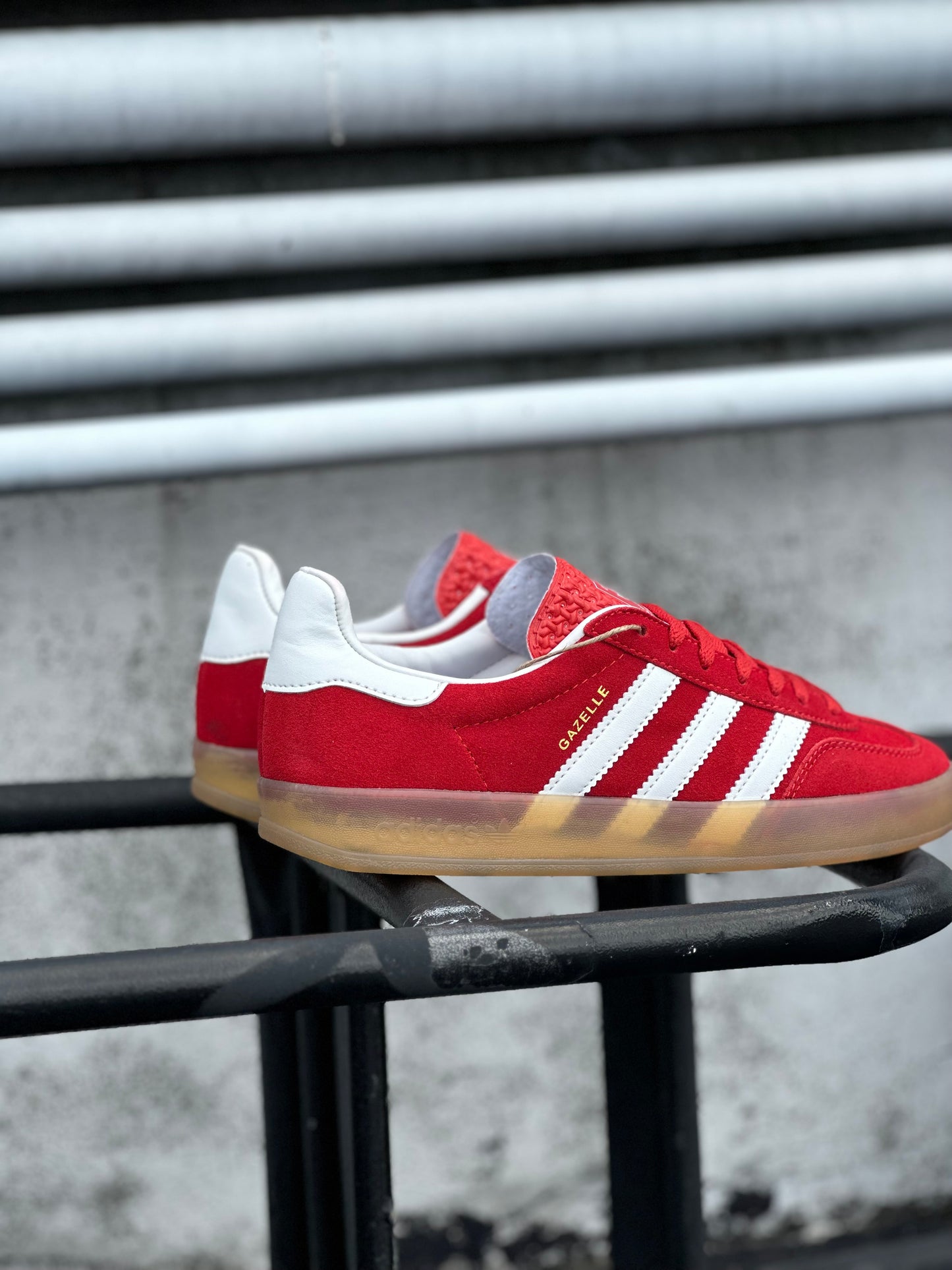 Adidas Gazelle Indoor - Rojo