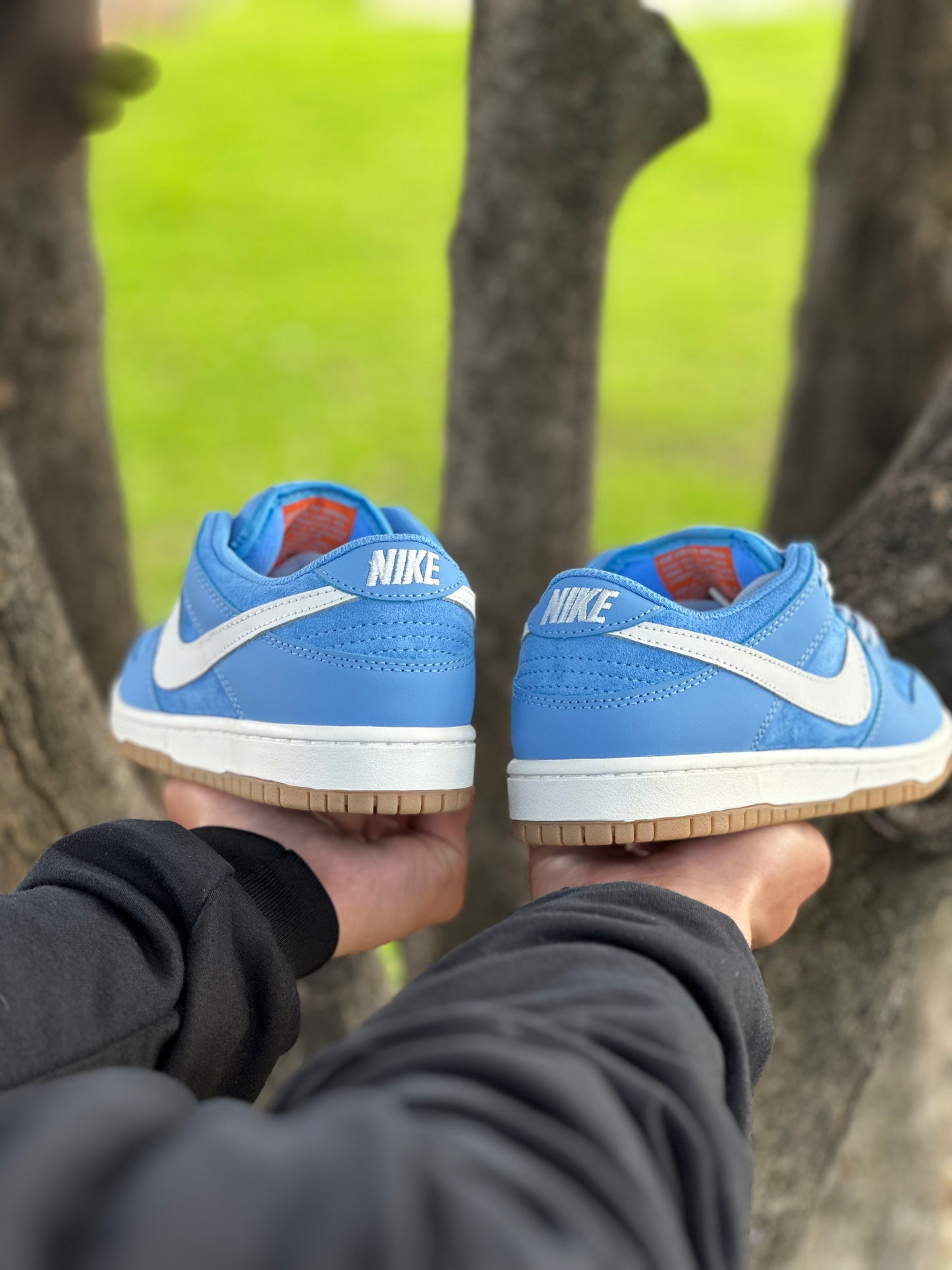 Nike Dunk Low Pro University Blue