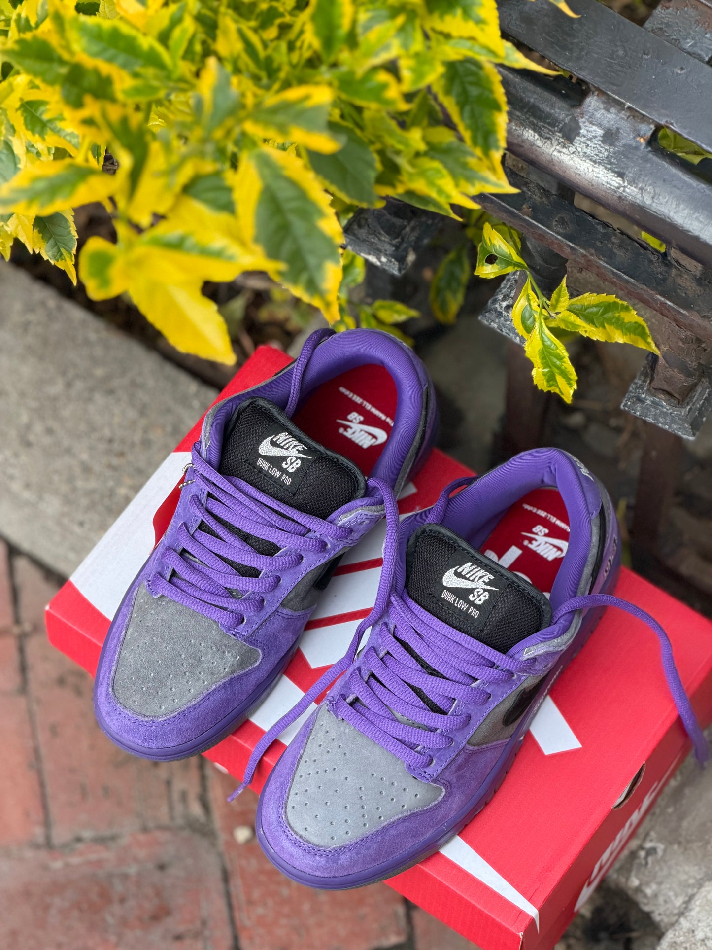 Nike Dunk Low Supreme