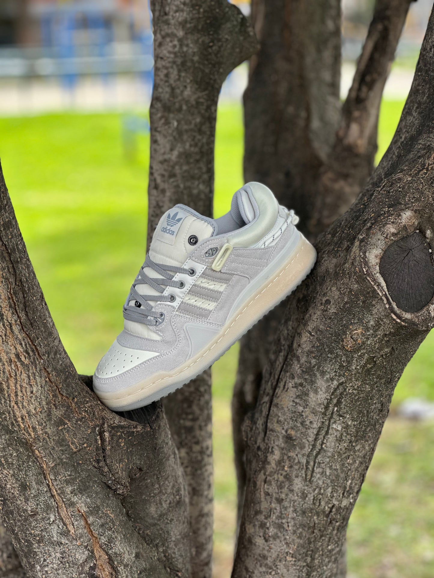 Adidas Fórum Bad Bunny Cream