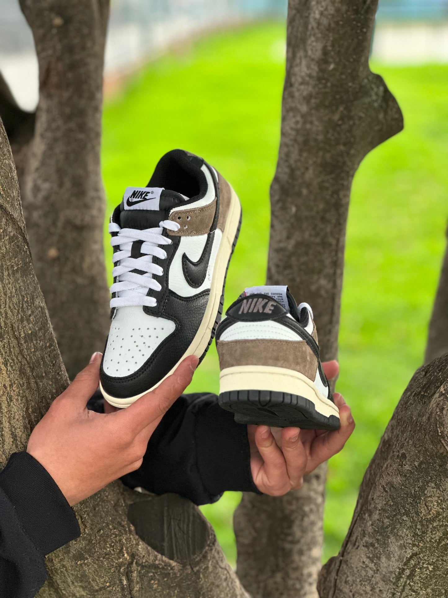 Nike Dunk Dark Mocha