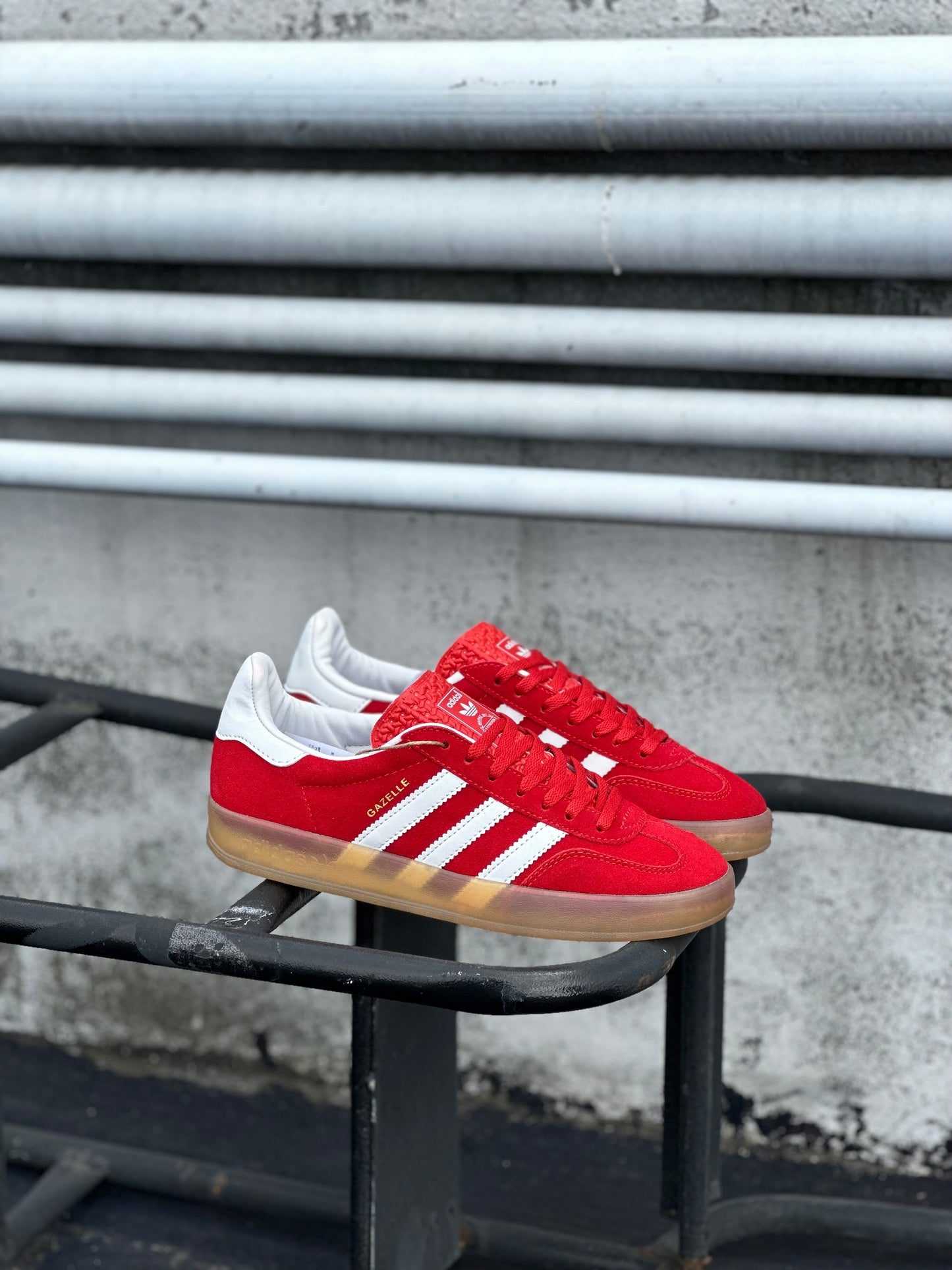 Adidas Gazelle Indoor - Rojo