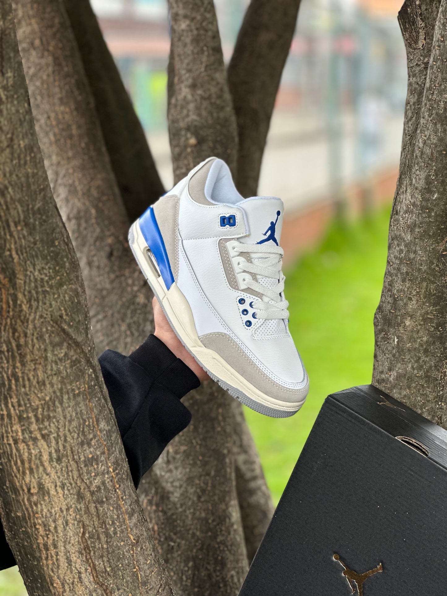 Air Jordan 3 Lucky Shorts