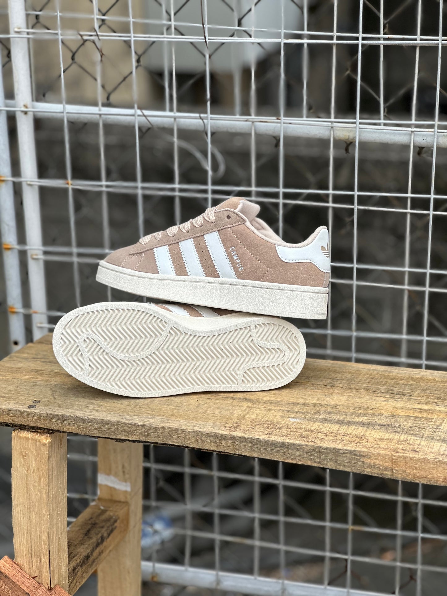 Adidas Campus Beige