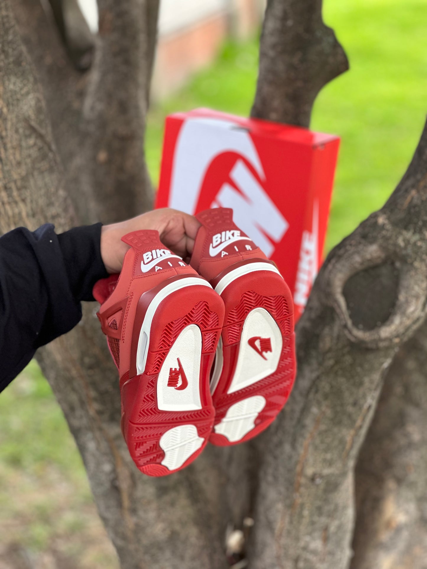 Jordan 4 Bike X Miguel Silvester