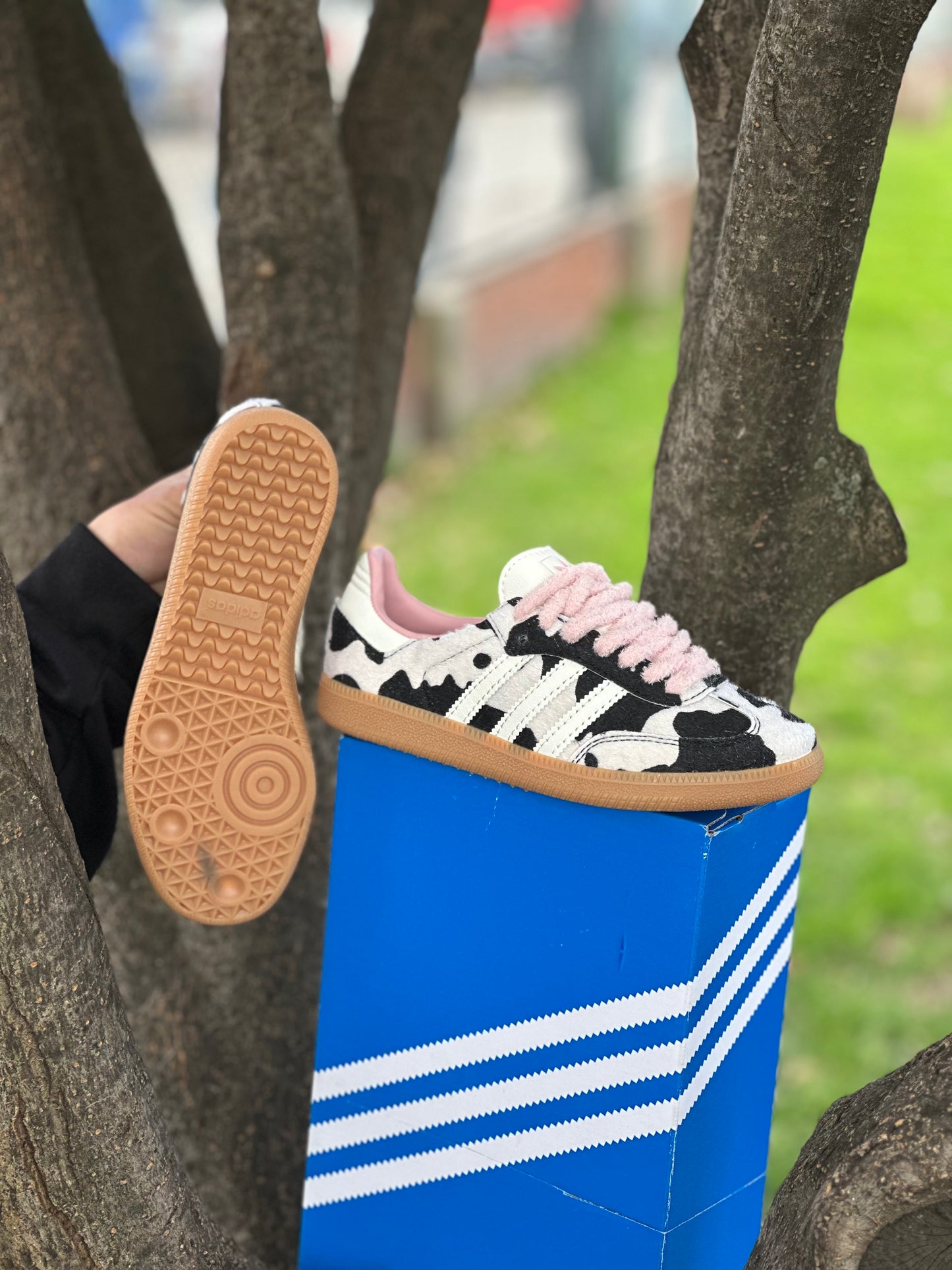 Adidas Samba Og Cow Print