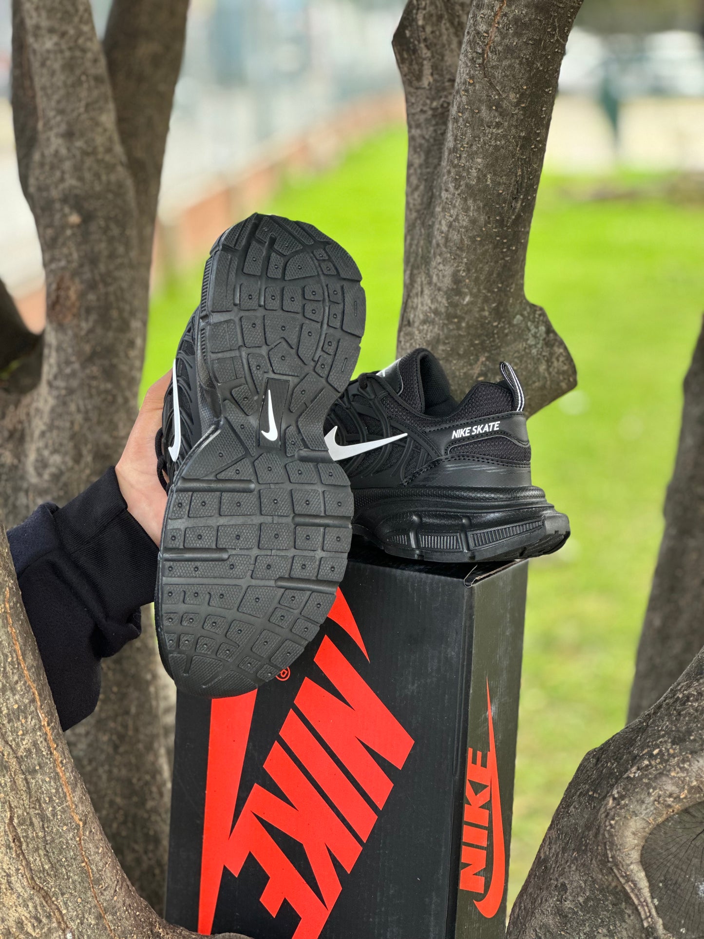 Nike Skate
