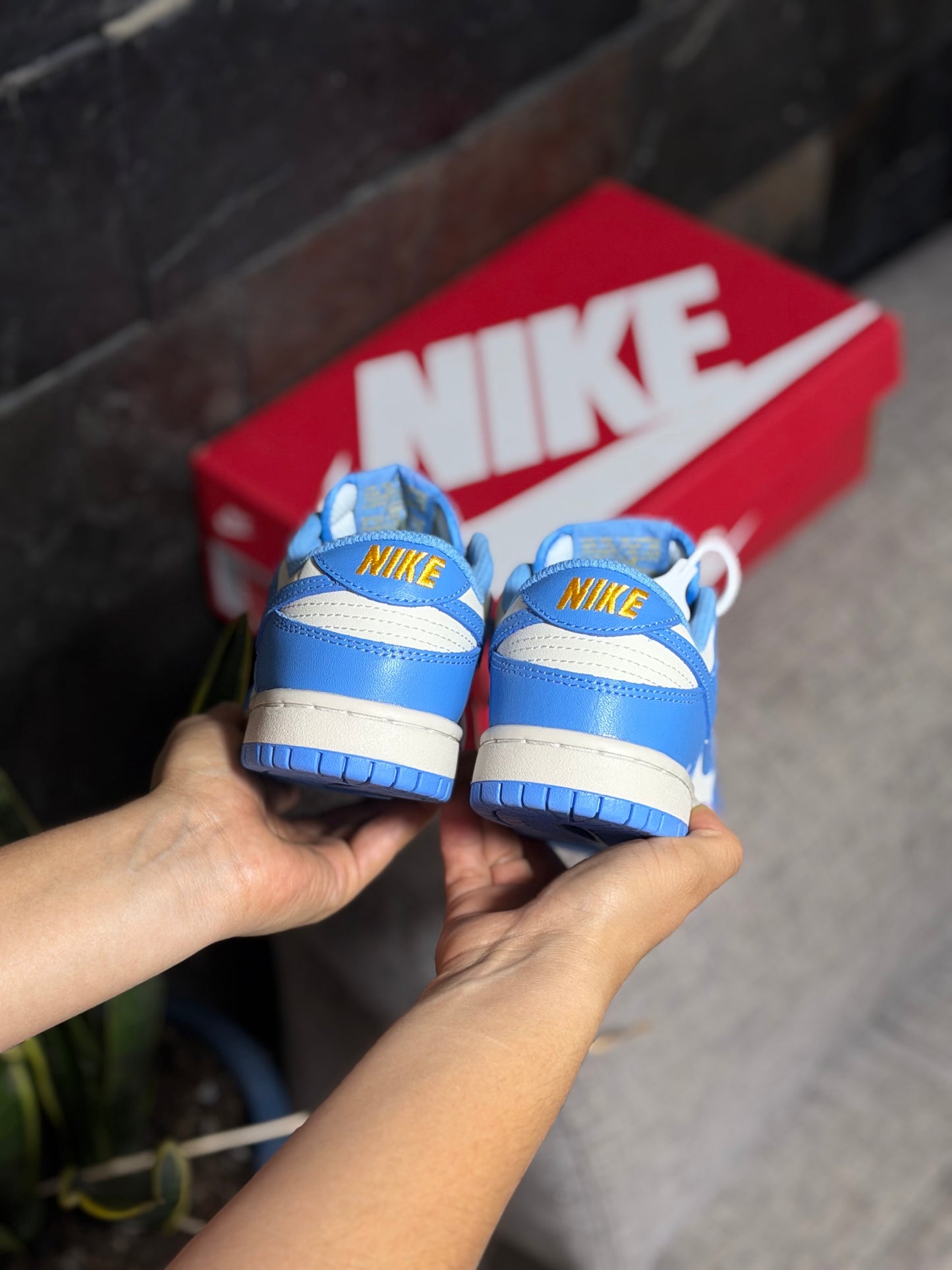Nike Dunk Low Retro