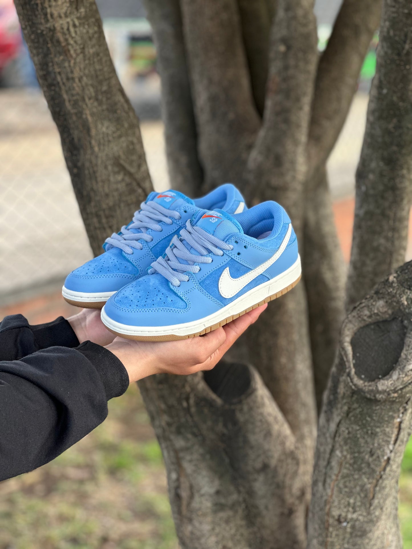 Nike Dunk Low Pro University Blue