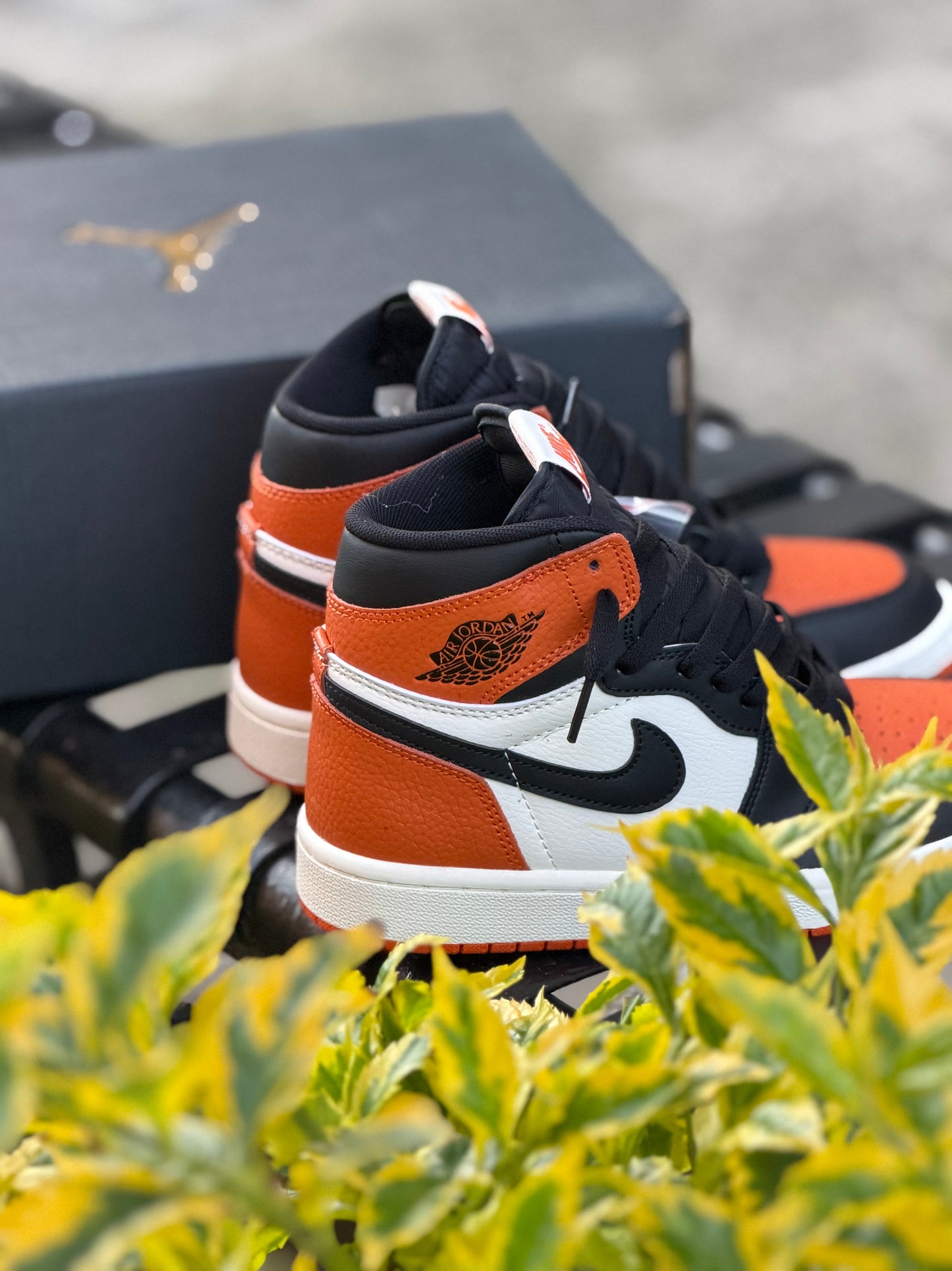 Air Jordan 1 High OG