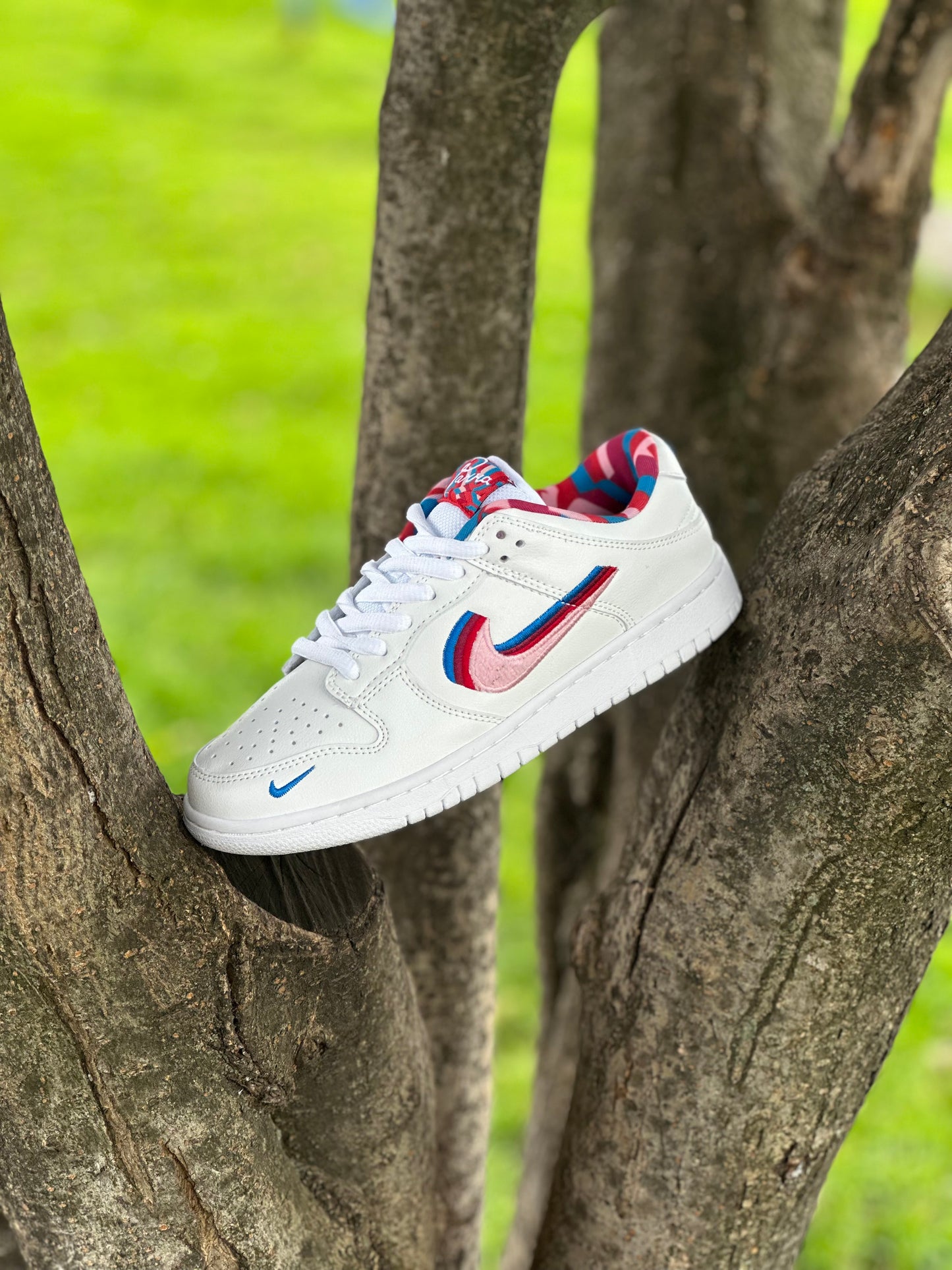 Nike SB Dunk Low Parra