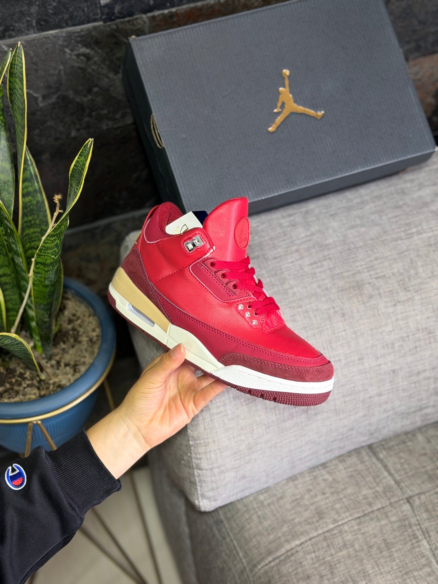 Air Jordan 3 Bin 23