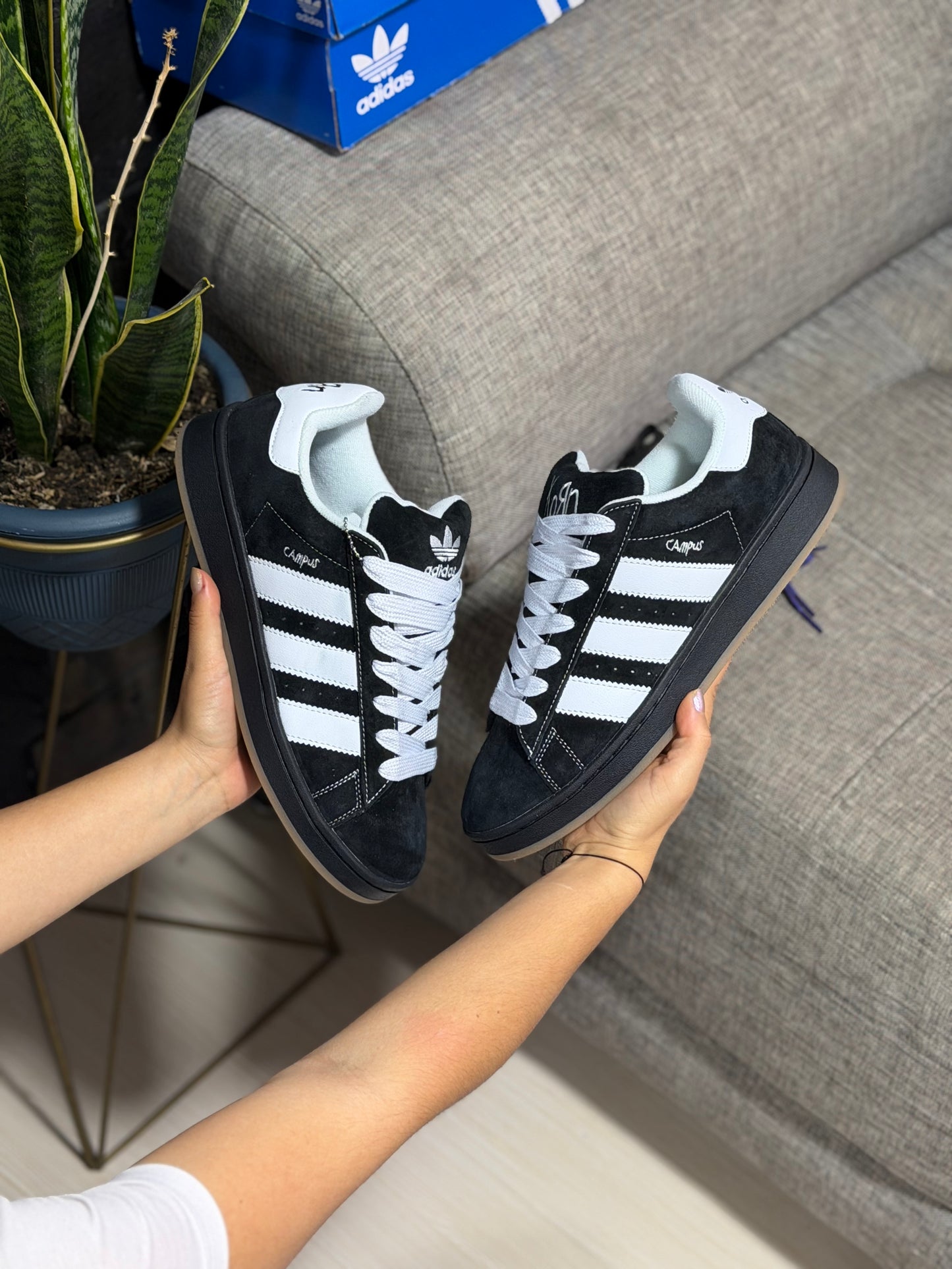 Adidas Campus 00’S Korn