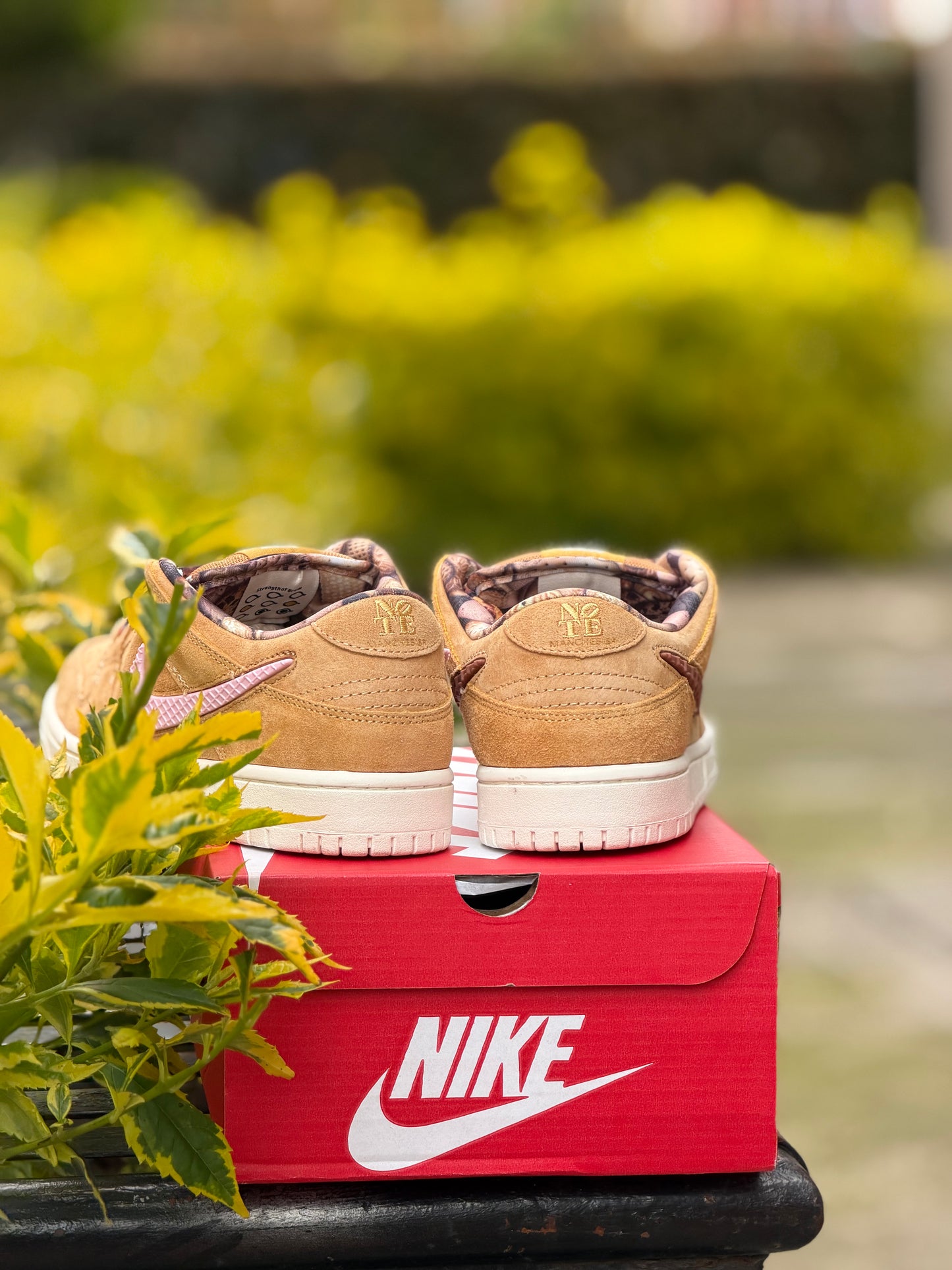 Nike SB X NOTE