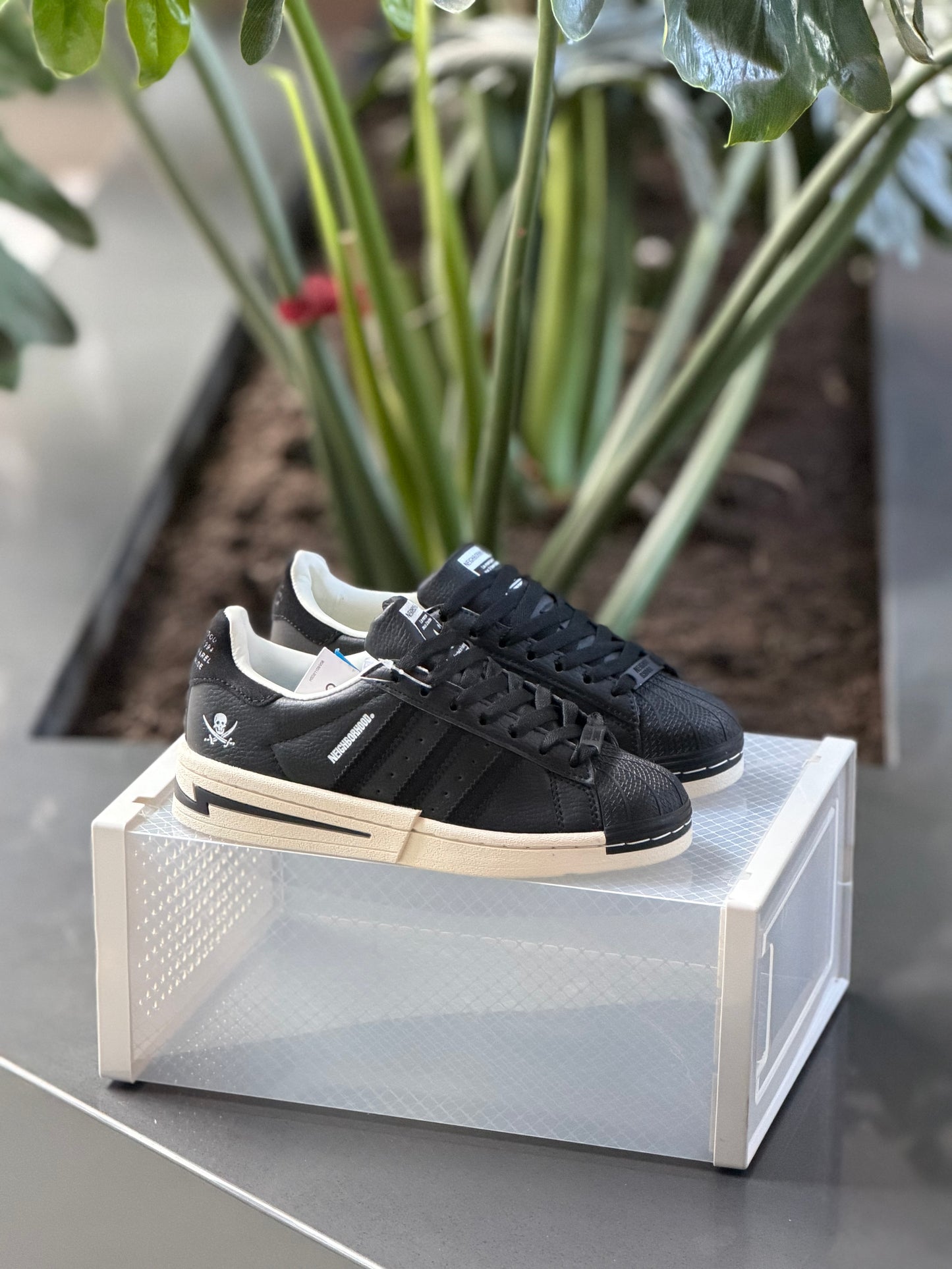 Adidas Súper Star Neighbor