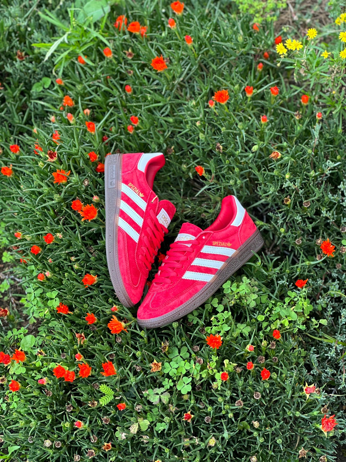 Adidas Handball Spezial Red