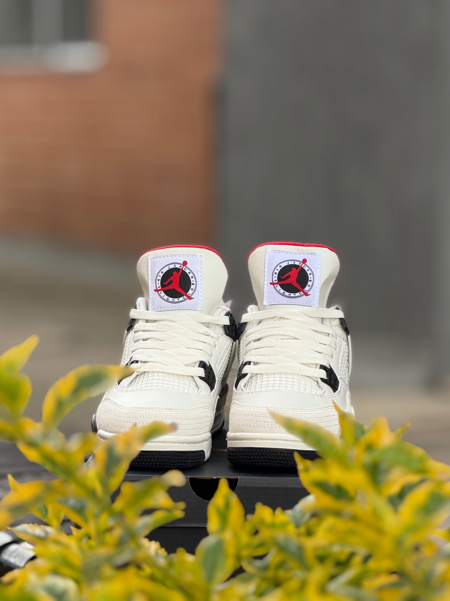 Air Jordan Retro 4 Fligh Club